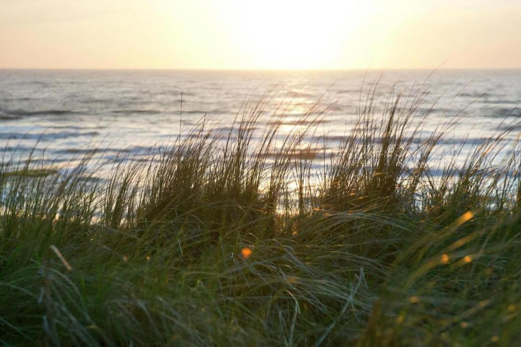 Quality Lodge aan de Duinen-Gebieden zomer 20km
