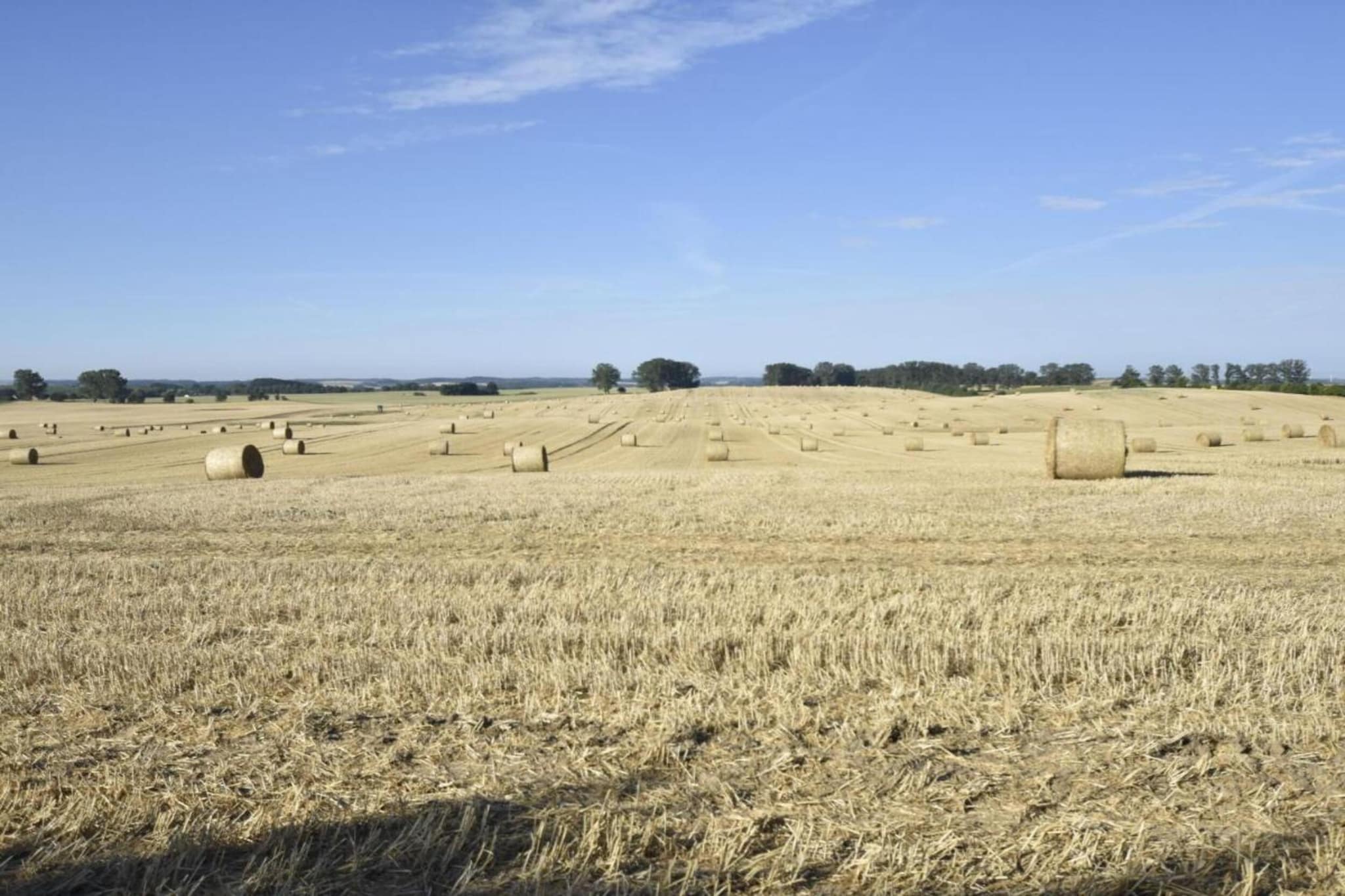 Ferienwohnung mit Koppelblick-Gebieden zomer 20km