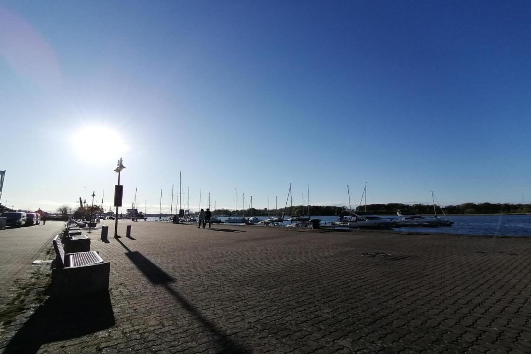 Ferienwohnung mit Koppelblick-Gebieden zomer 20km