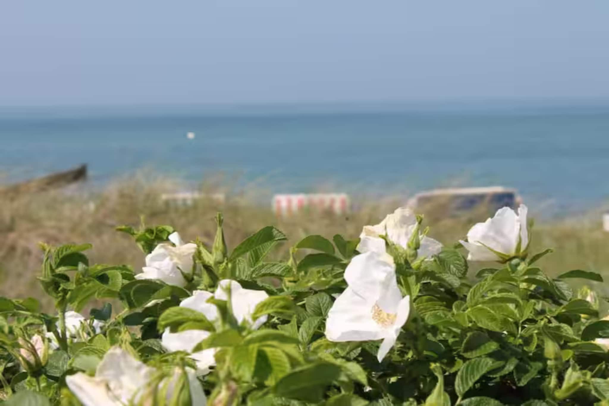 Ferienwohnung mit Koppelblick-Gebieden zomer 20km