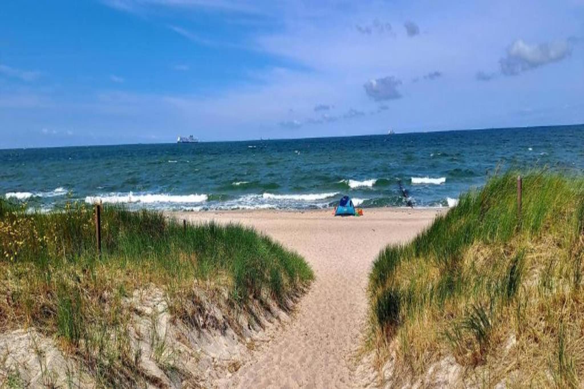 Ferienwohnung mit Koppelblick-Gebieden zomer 20km