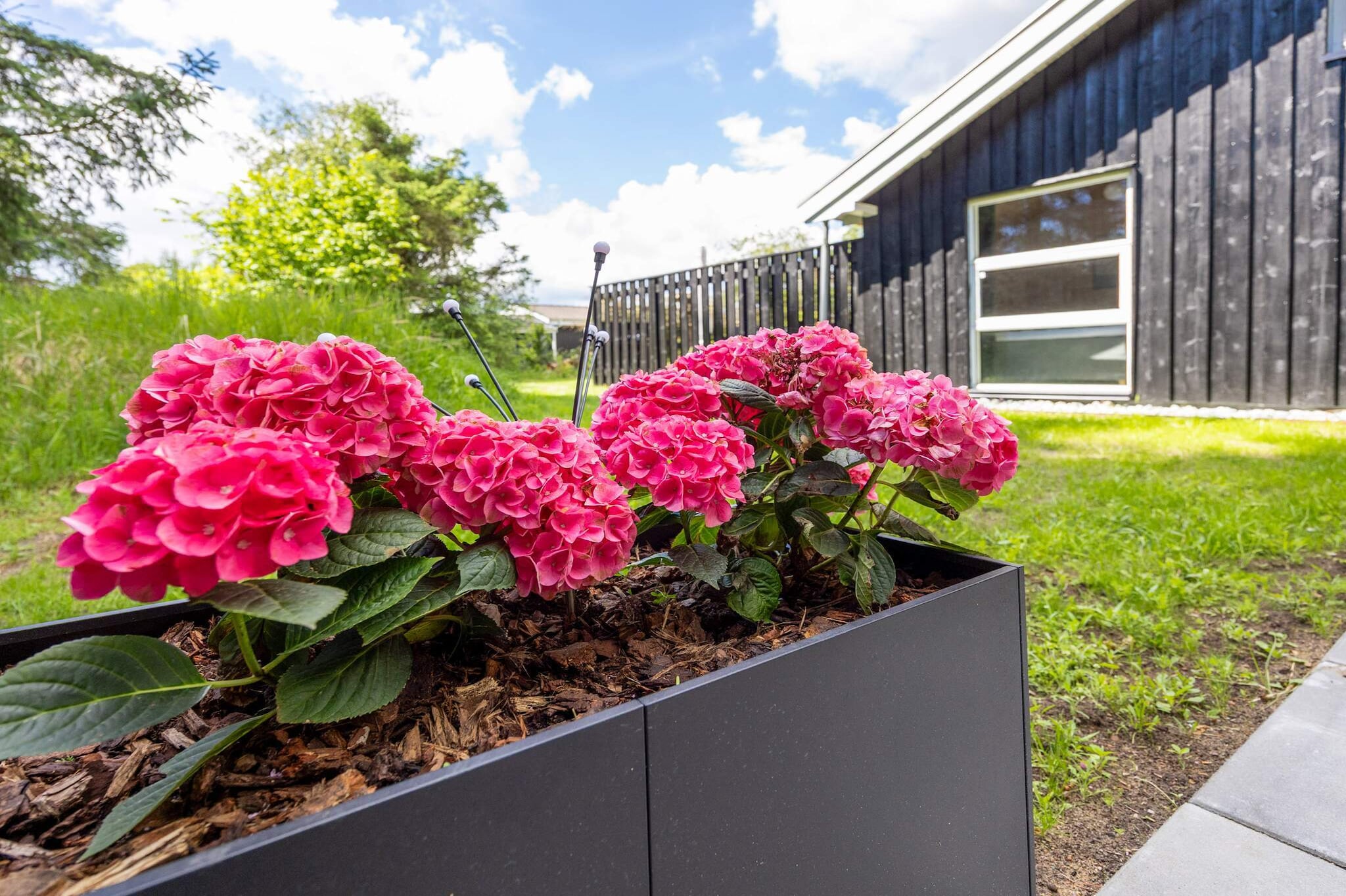 6 persoons vakantie huis in Hals-By Traum - Niet-getagd