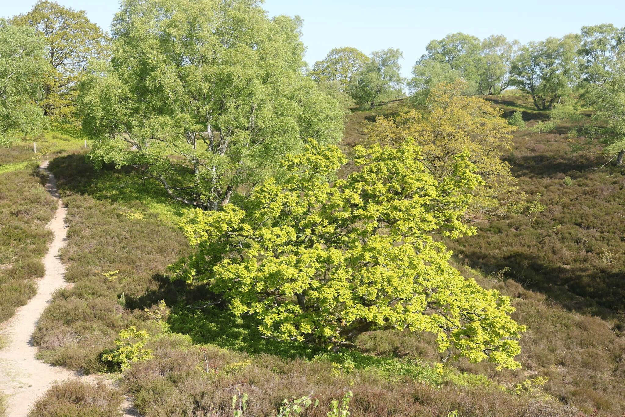 4 persoons vakantie huis in Fårvang-By Traum-Niet-getagd