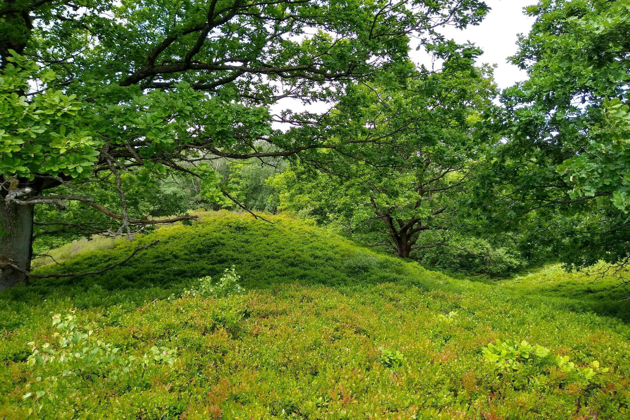 4 persoons vakantie huis in Fårvang-By Traum-Niet-getagd