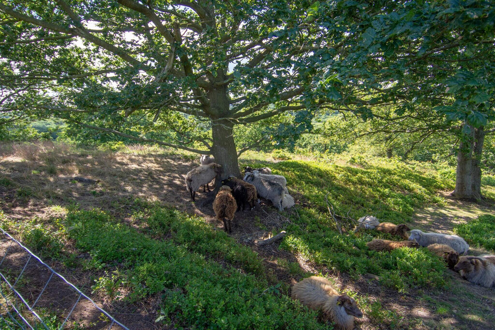 4 persoons vakantie huis in Fårvang-By Traum-Niet-getagd
