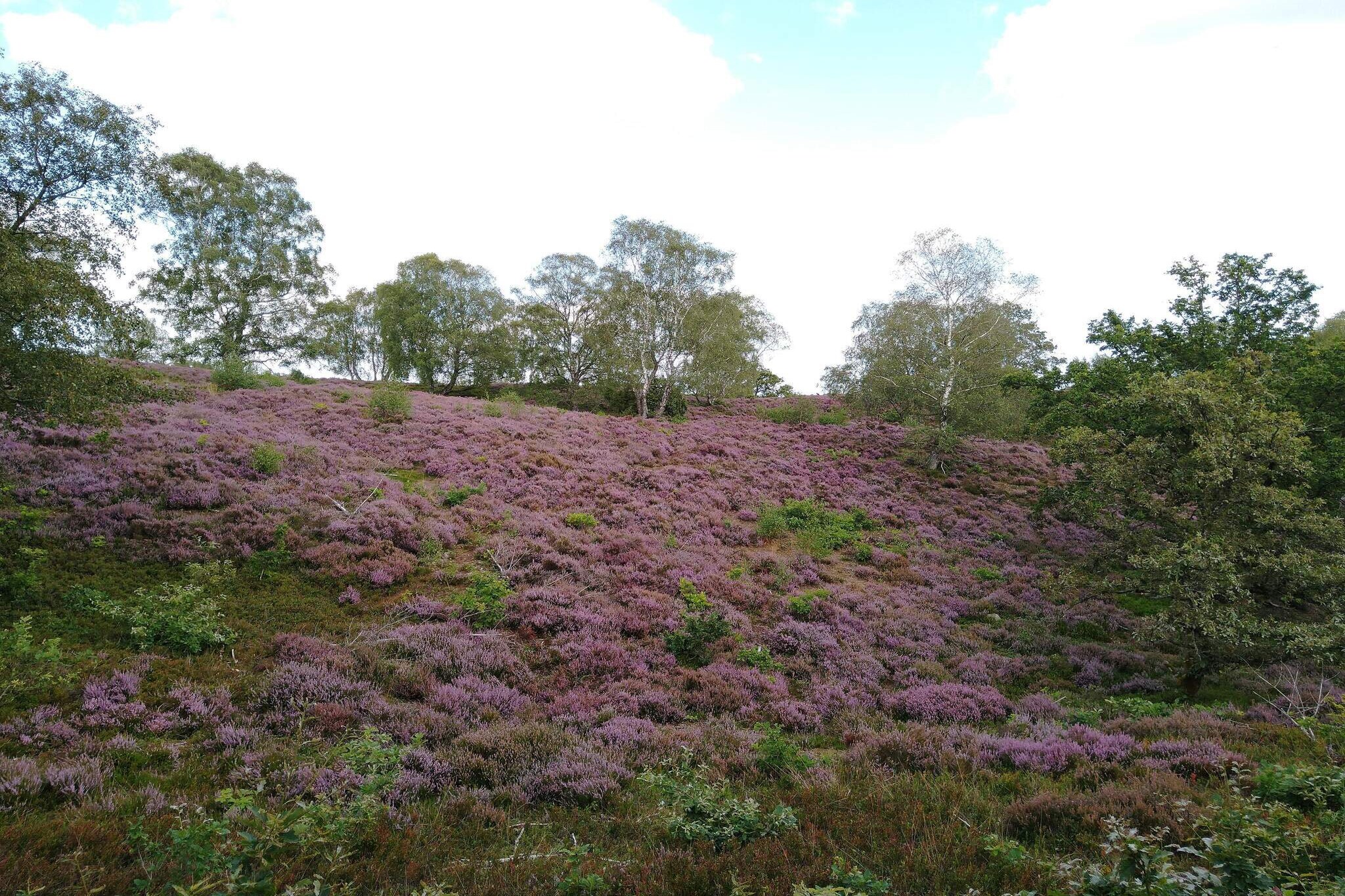 4 persoons vakantie huis in Fårvang-By Traum-Niet-getagd