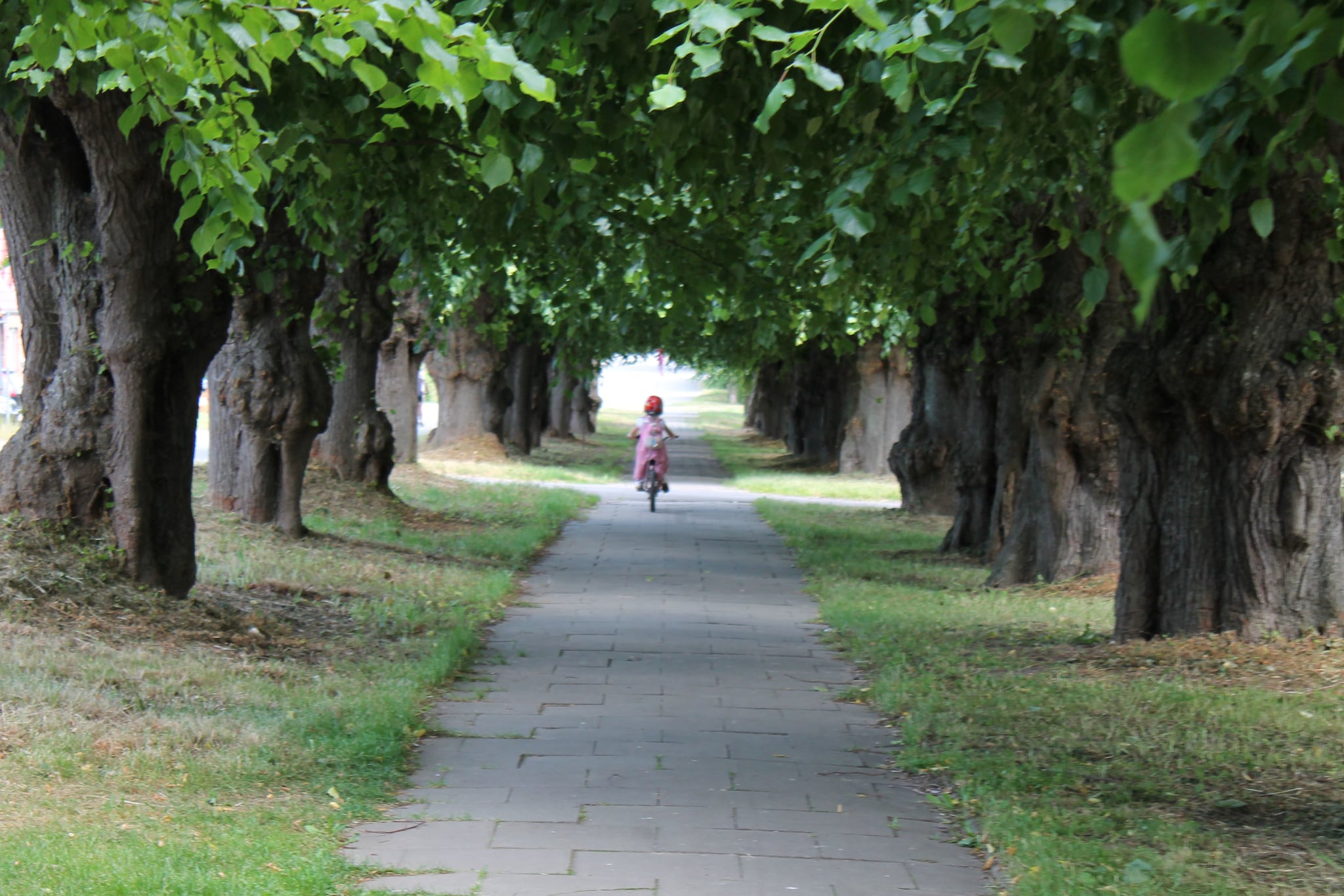 Gartenbungalow-Gebiete Sommer 5 km
