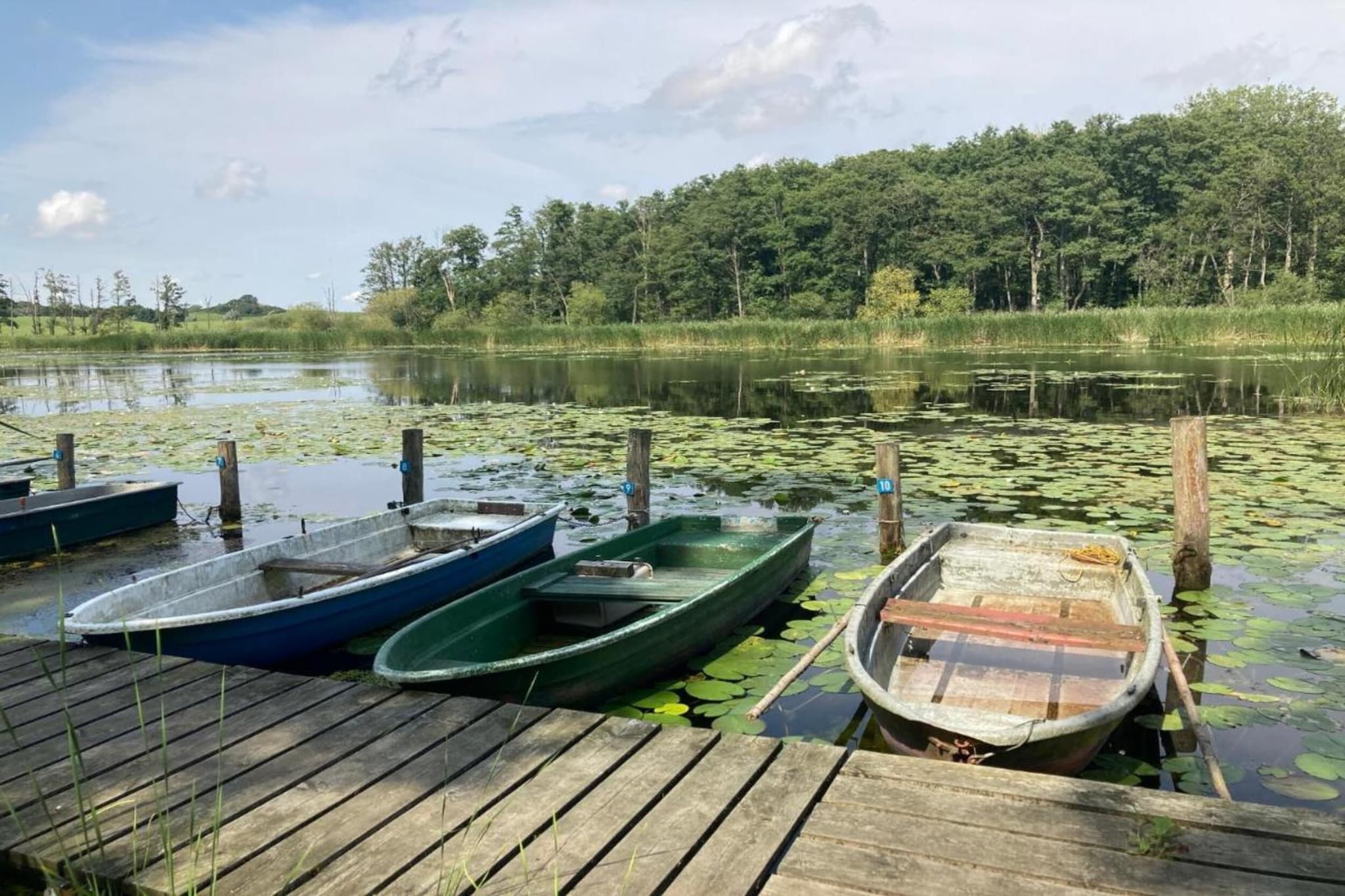 Gartenbungalow-Gebiete Sommer 20 km