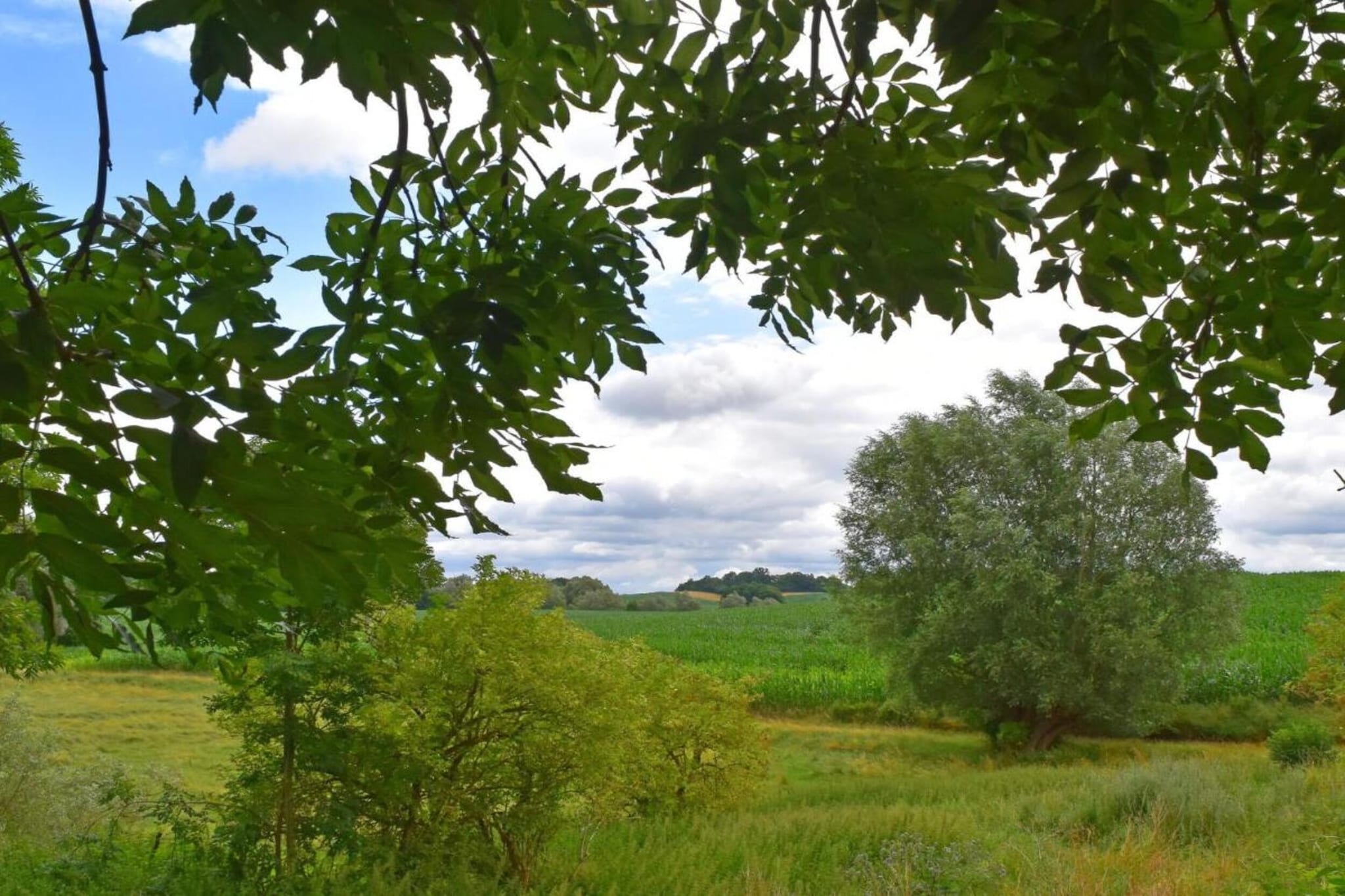 Gartenbungalow-Gebiete Sommer 20 km
