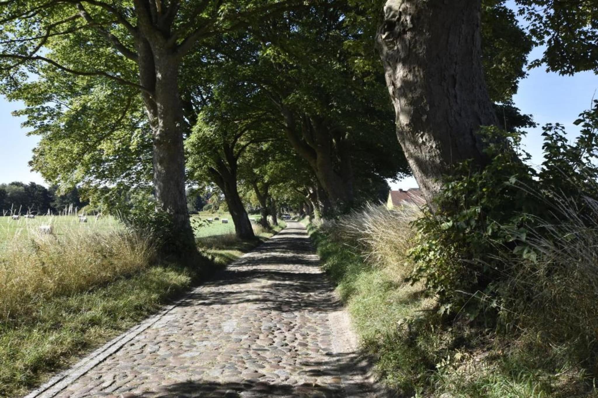 Schöne Aussichten Gerdshagen-Gebieden zomer 20km