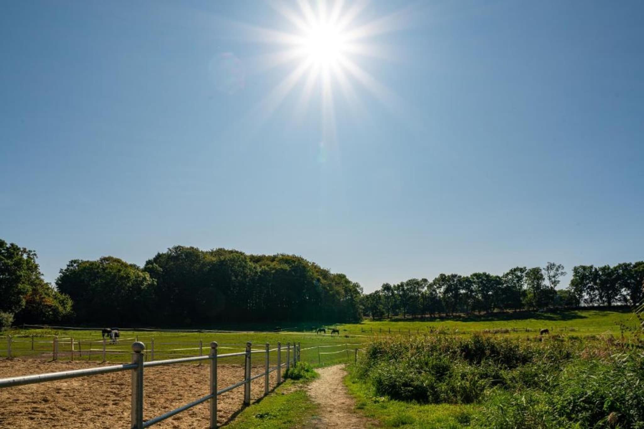 Schöne Aussichten Gerdshagen-Gebieden zomer 20km