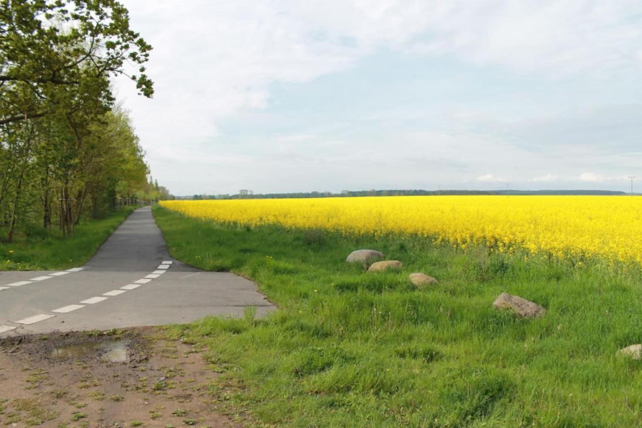 Schöne Aussichten Gerdshagen-Gebieden zomer 20km