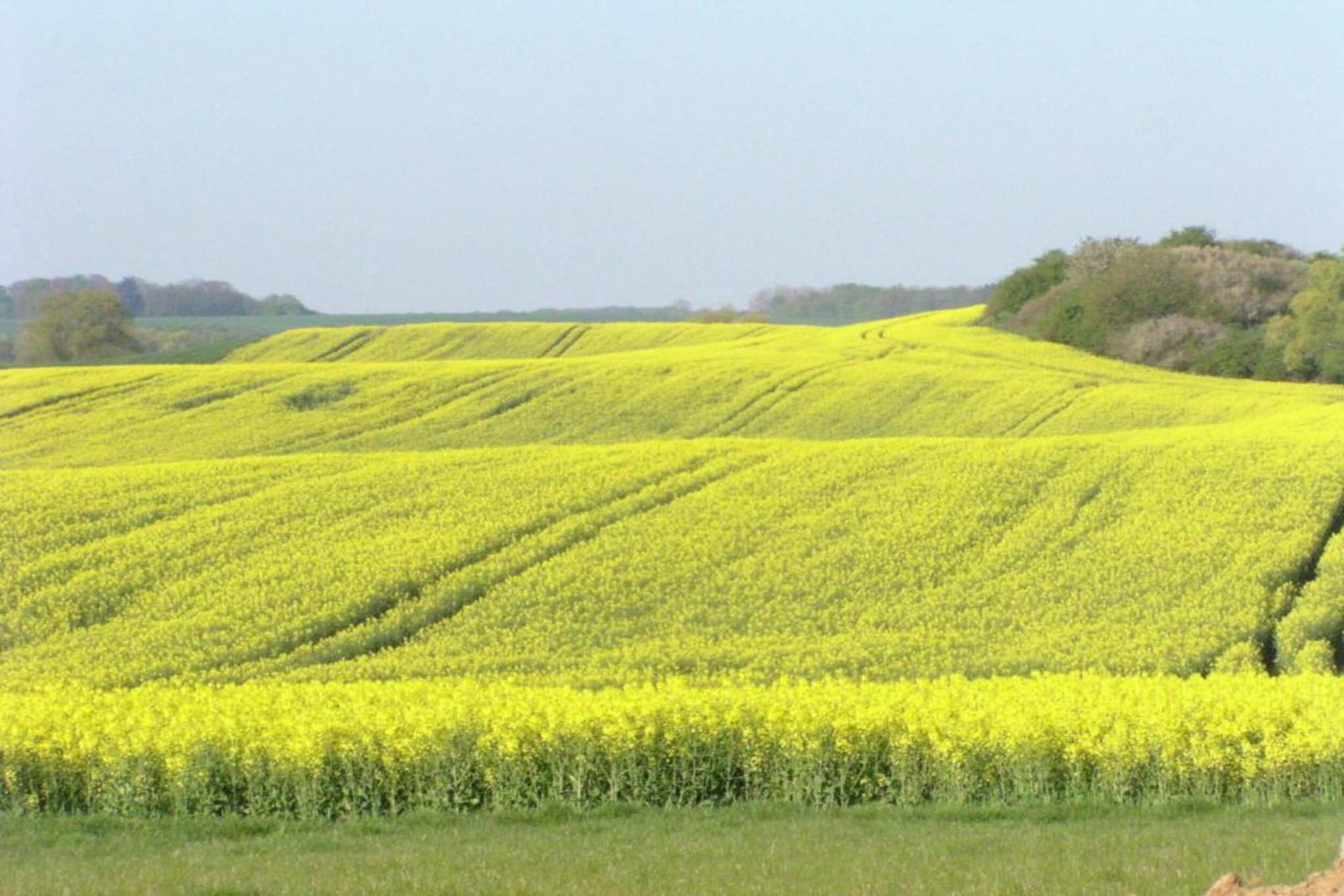 Gartenblick bei Gerdshagen-Gebieden zomer 20km