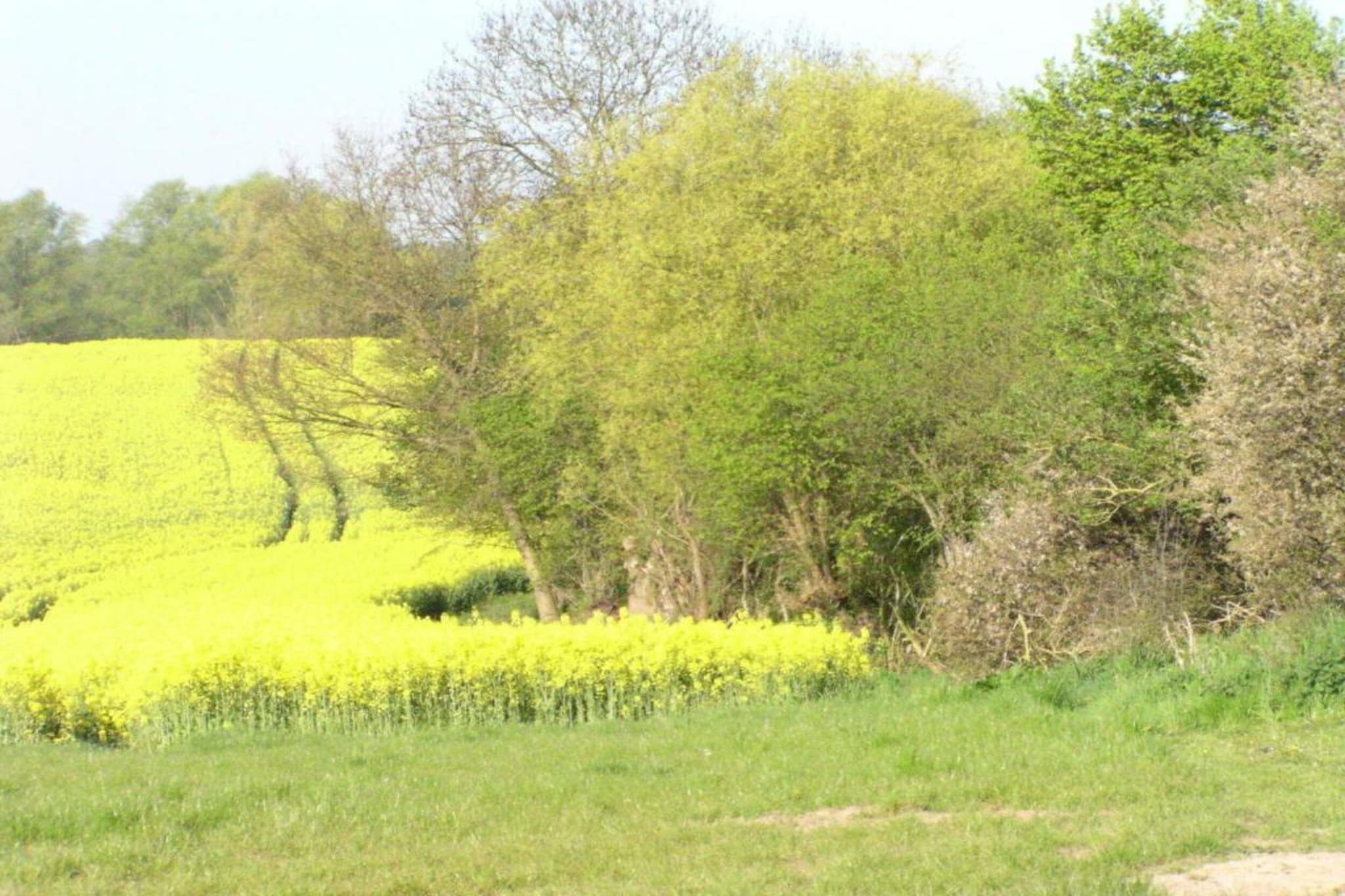 Gartenblick bei Gerdshagen-Gebieden zomer 20km