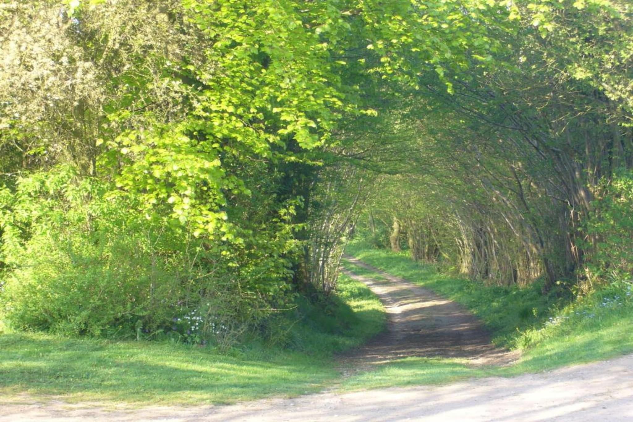 Gartenblick bei Gerdshagen-Gebieden zomer 20km