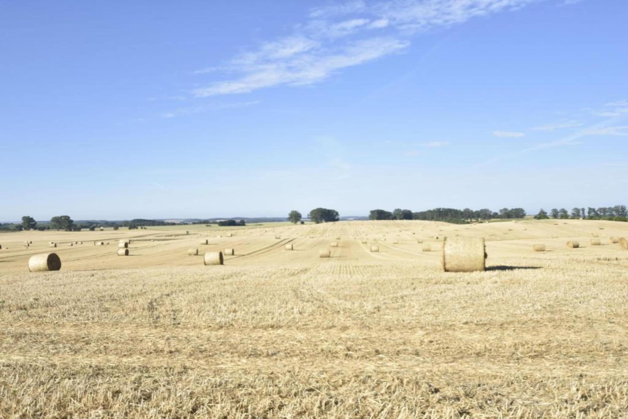 Gartenblick bei Gerdshagen-Gebieden zomer 20km