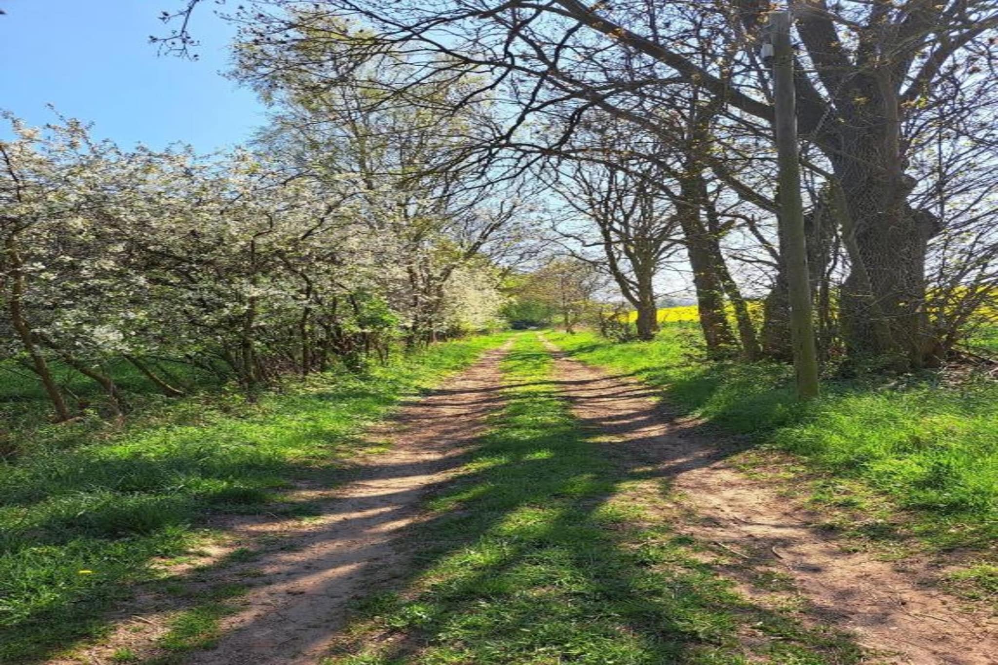Gartenblick bei Gerdshagen-Gebieden zomer 20km