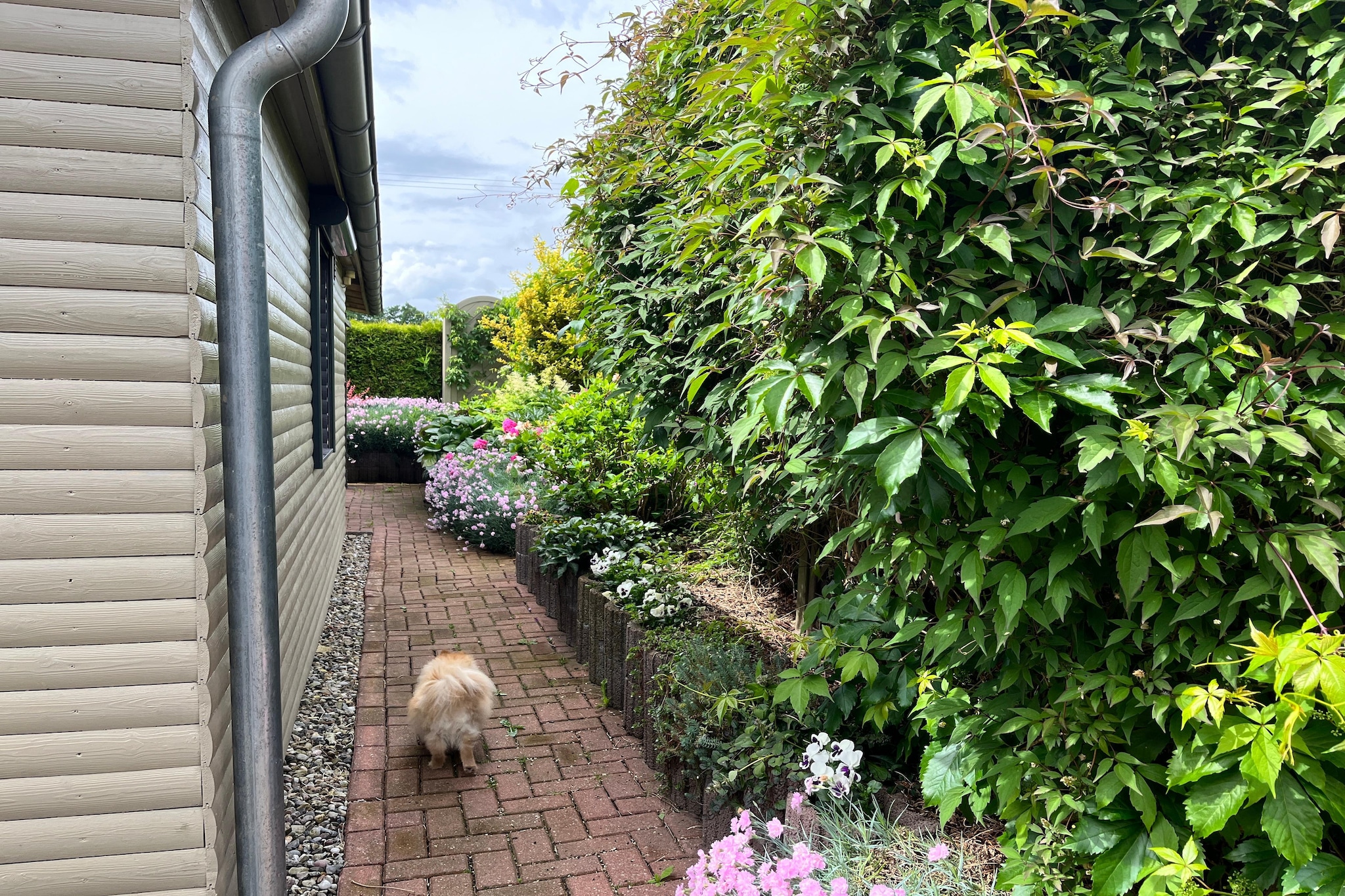 Gartenblick