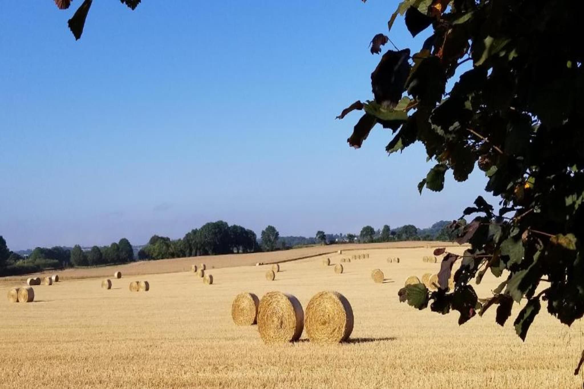 Maison Typique Bretonne-Gebieden zomer 20km