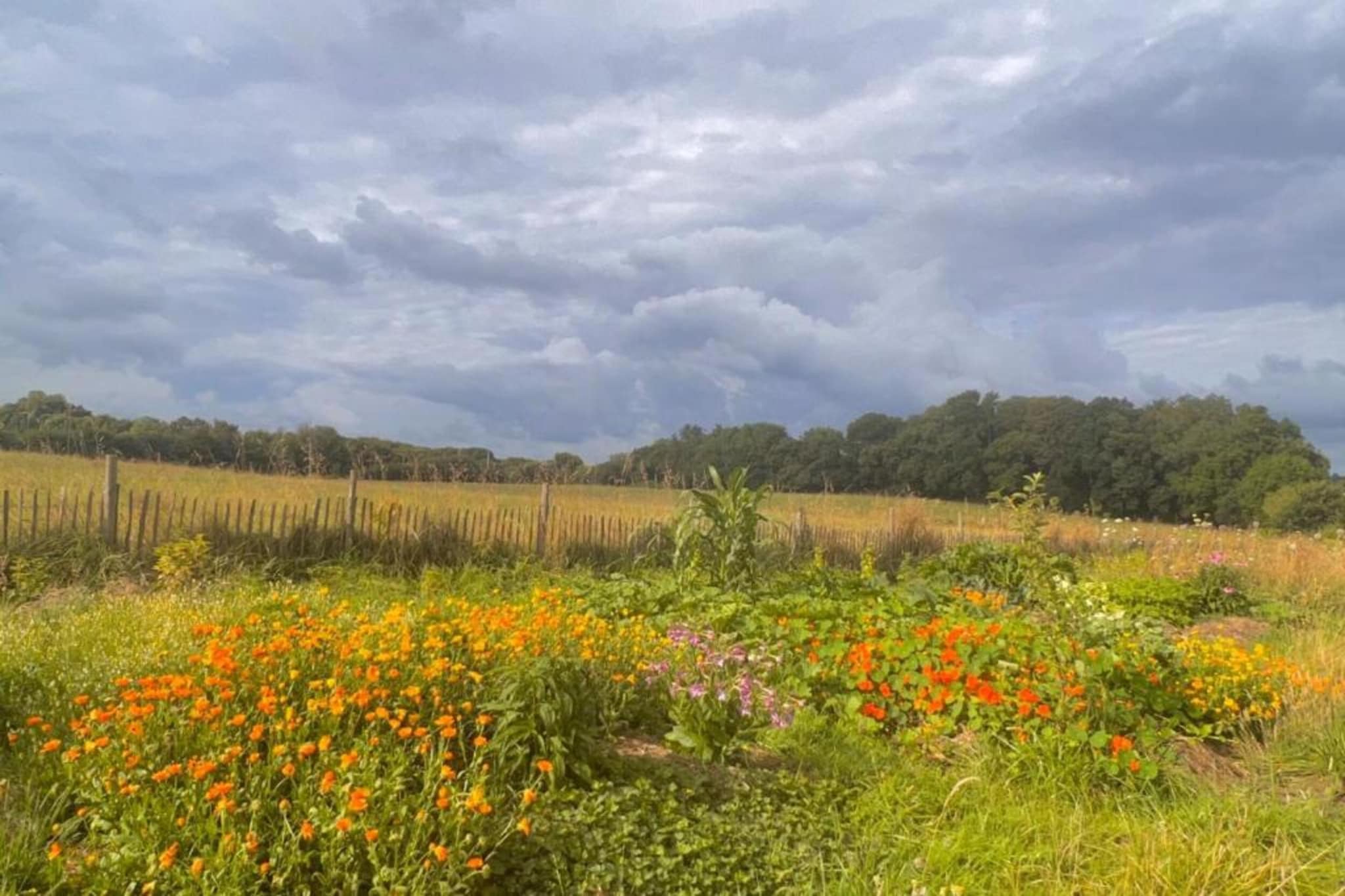 Maison Typique Bretonne-Gebieden zomer 20km