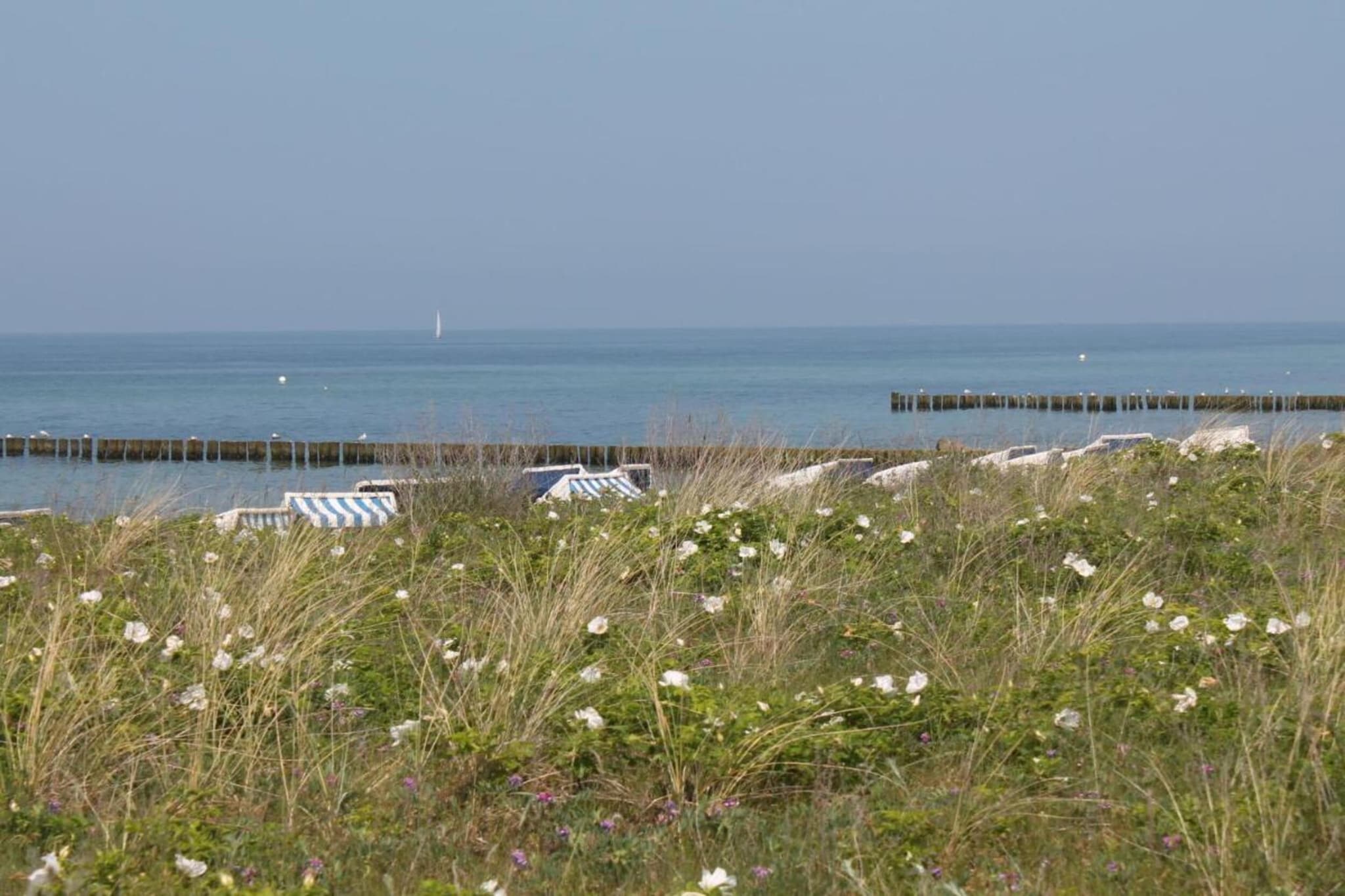 Hagen-Gebieden zomer 20km