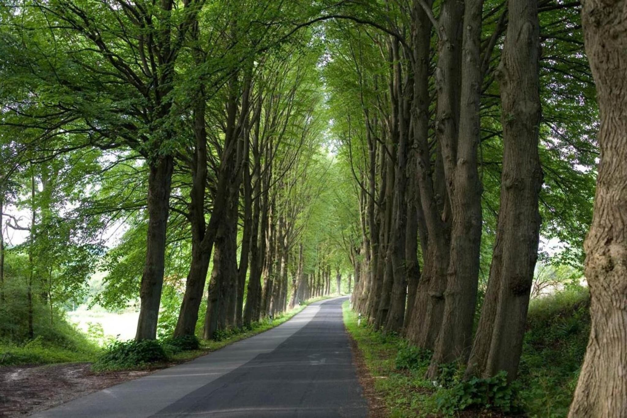 Hagen-Gebieden zomer 20km