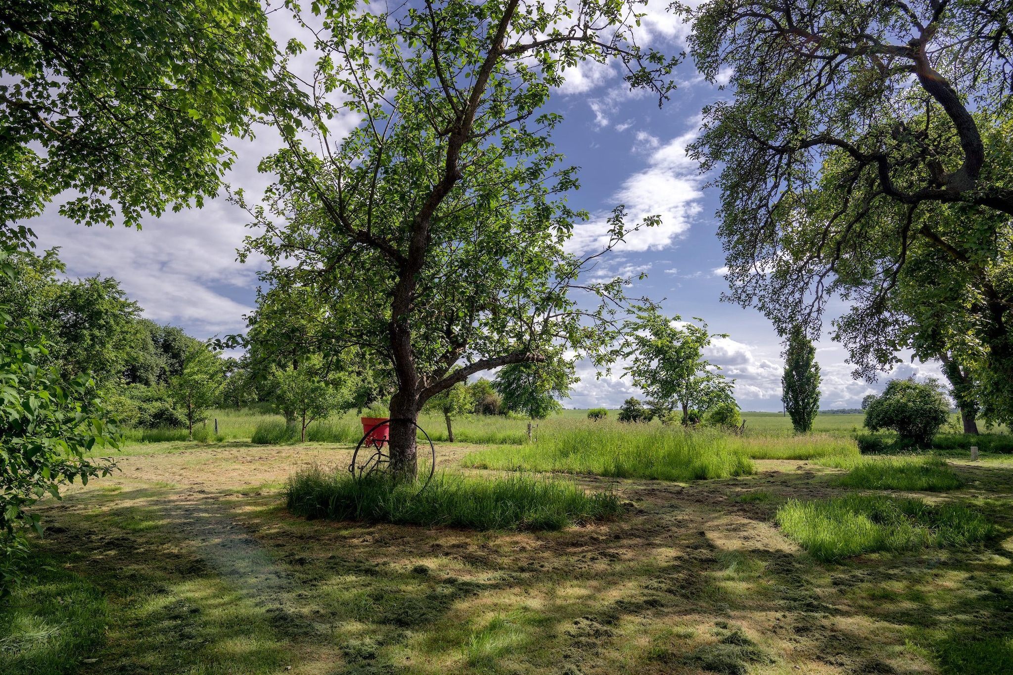 Sommerhaus Steffenshagen - Tuinen zomer