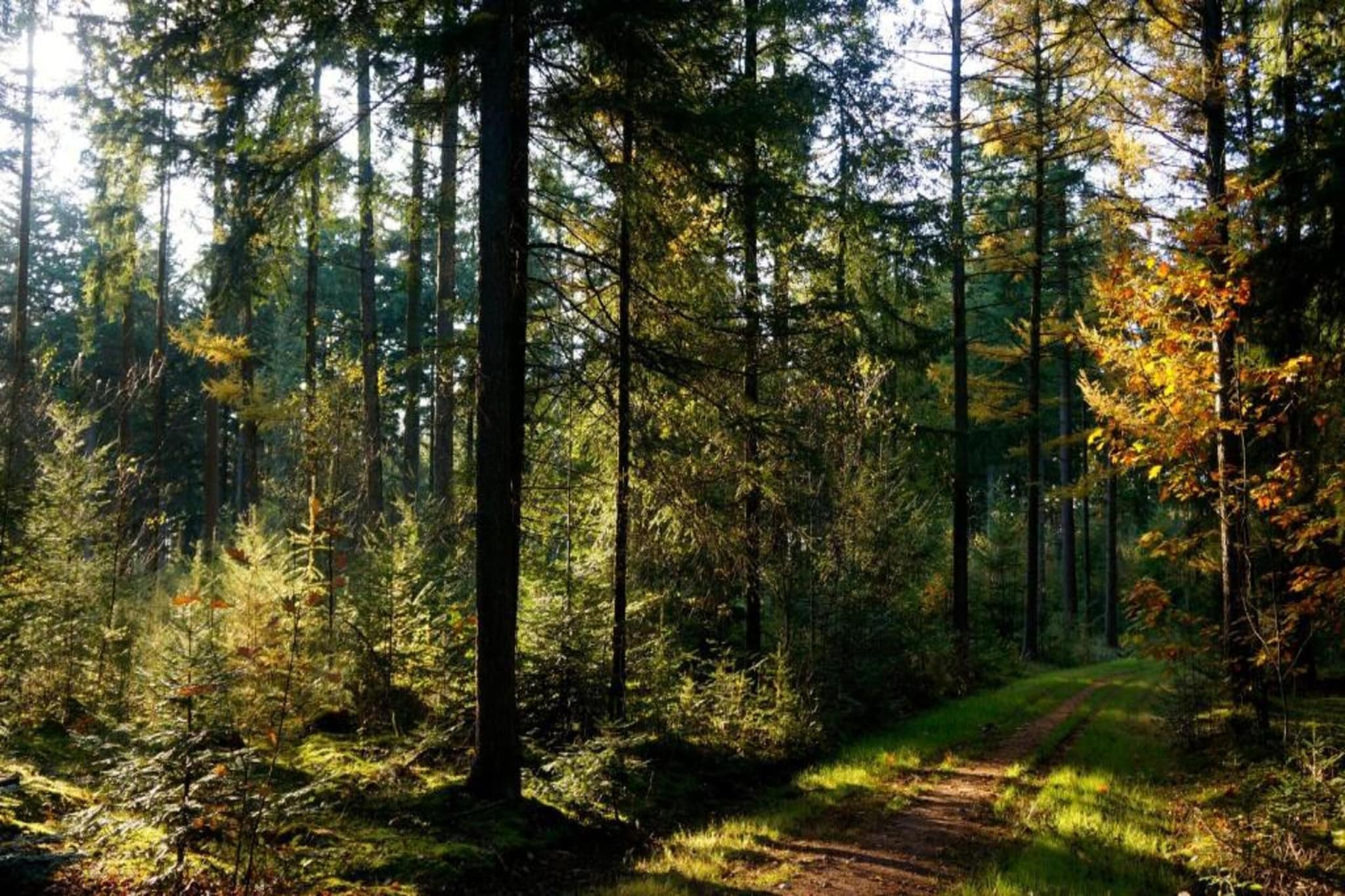 Ons Nestje-Areas summer 20km