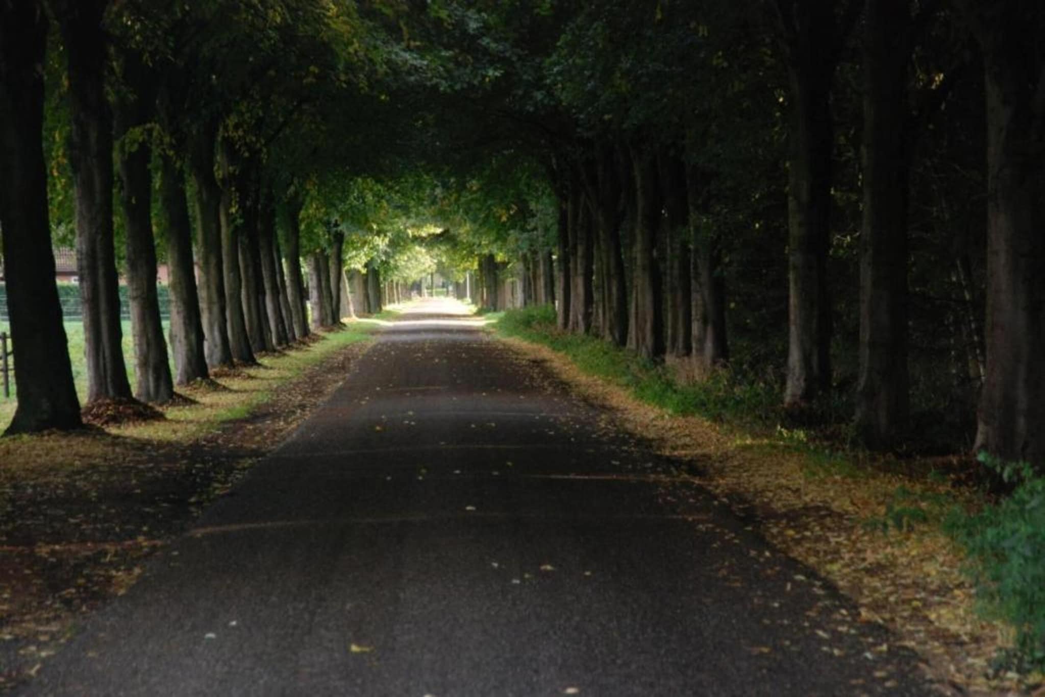 Ons Nestje-Areas summer 20km