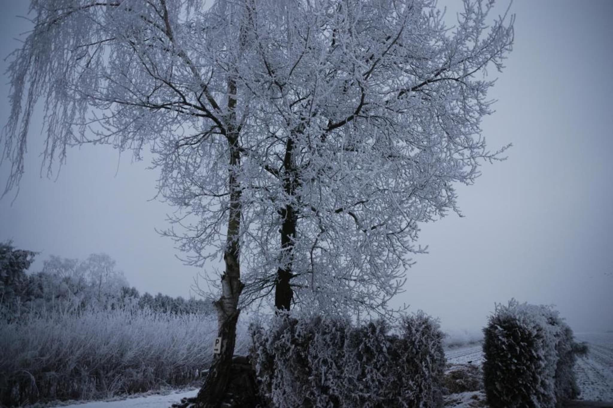 Ons Nestje-Area winter 20km