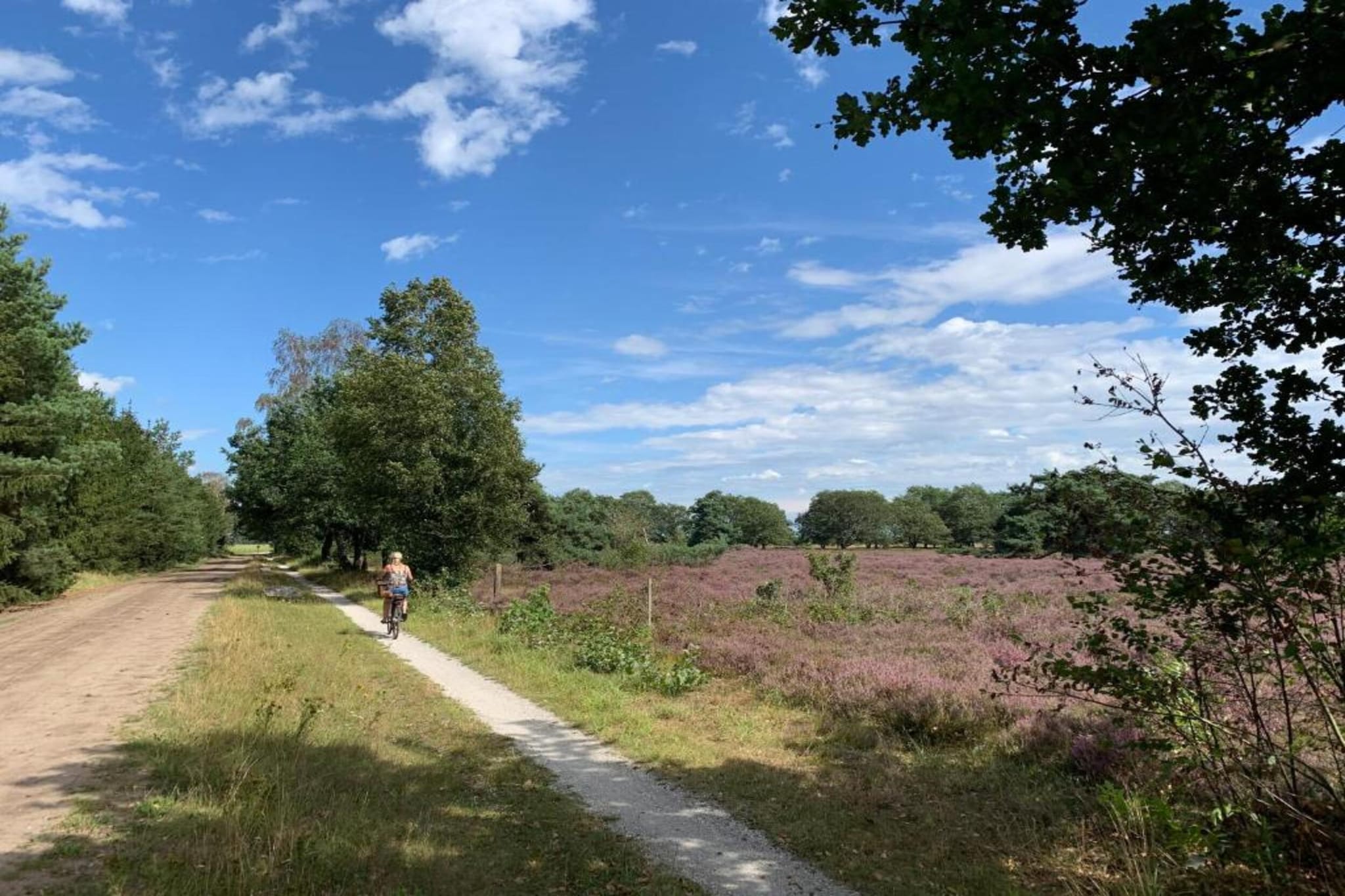 Ons Nestje-Areas summer 20km