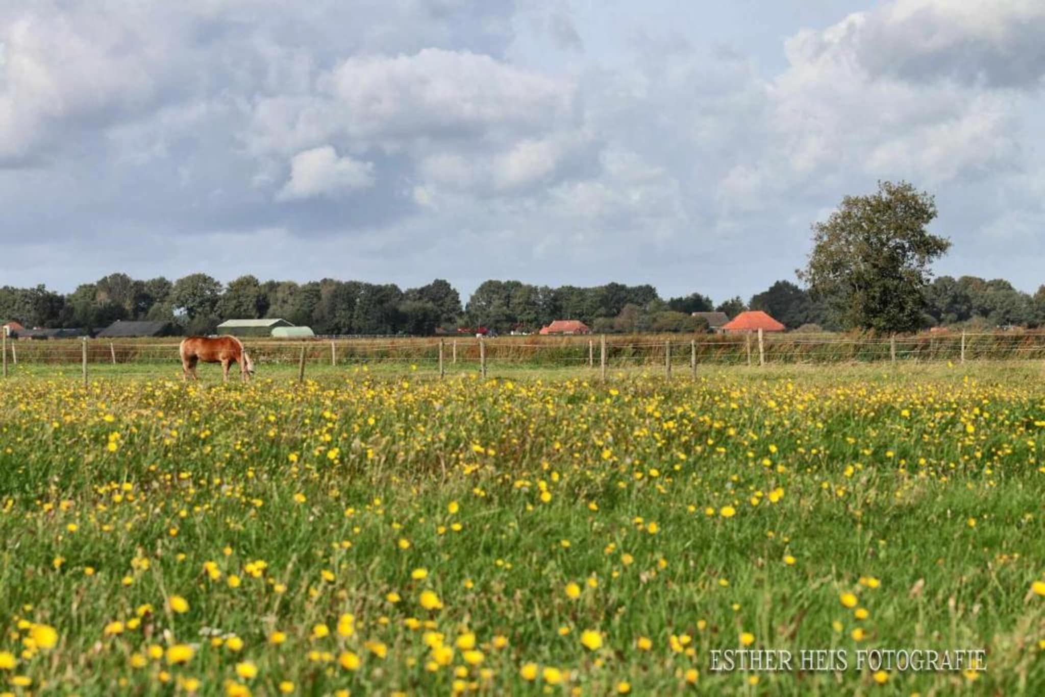 Ons Nestje-Areas summer 20km