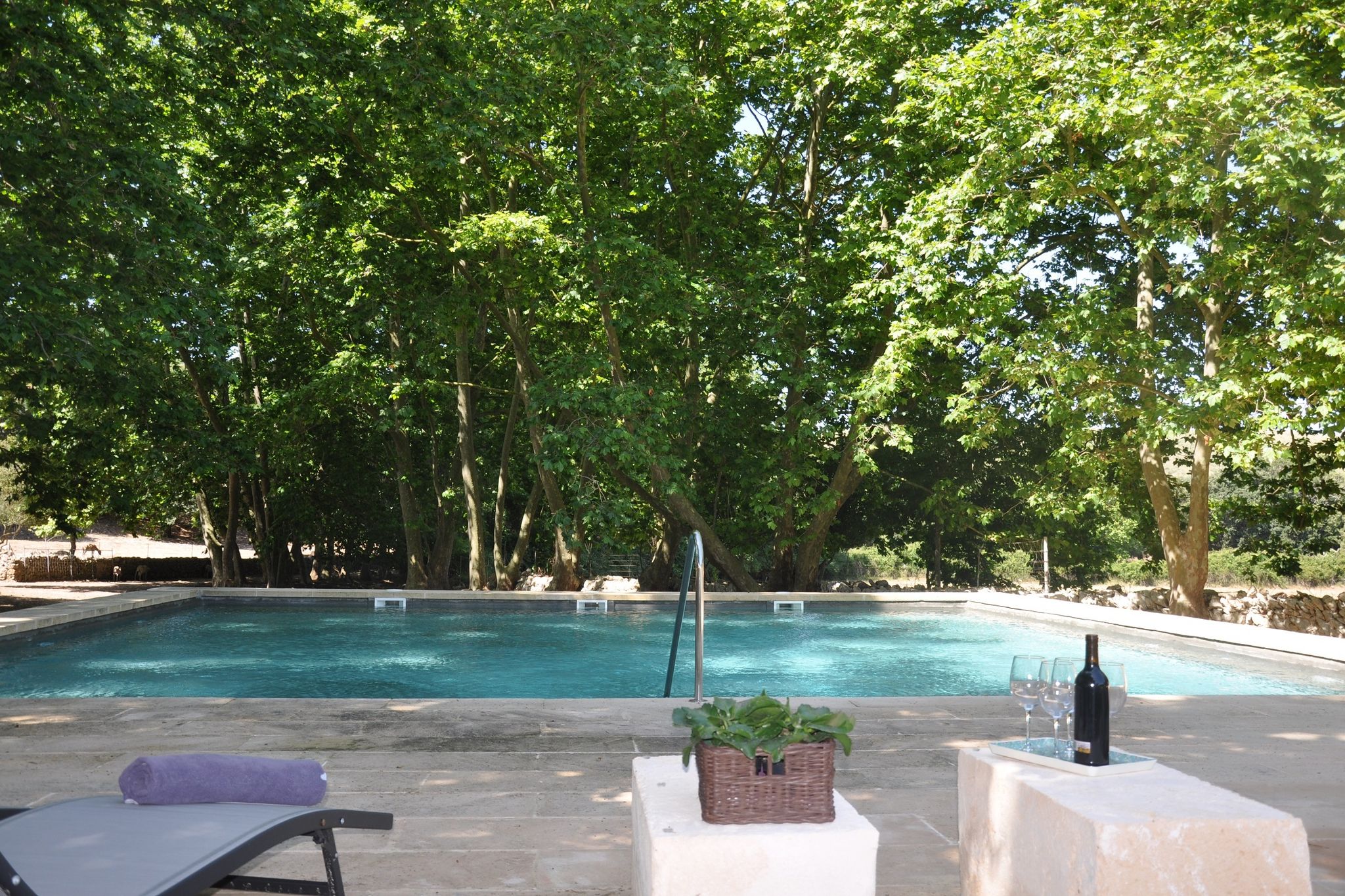 Demeure luxueuse avec piscine à Arta Majorque