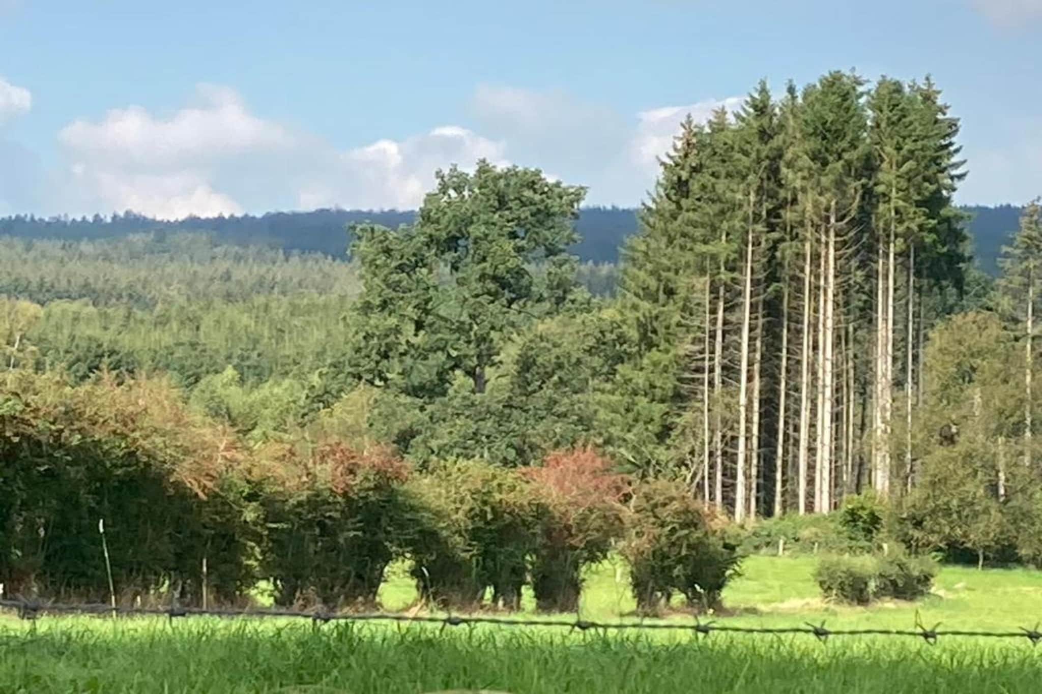 Mise Au Vert-Areas summer 20km