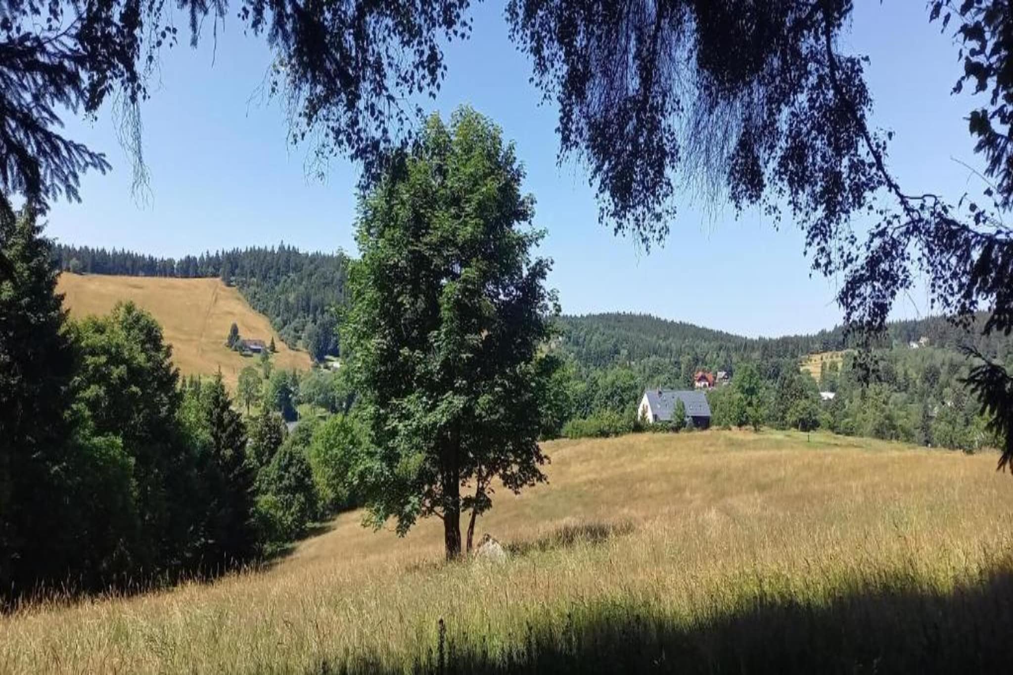 Monika-Gebiete Sommer 5 km
