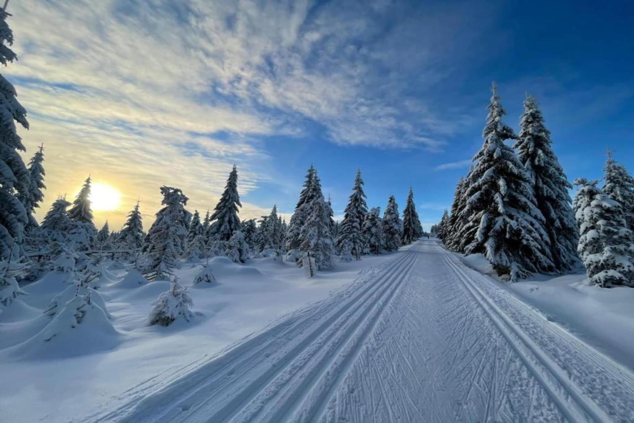 Monika-Gebiet Winter 5 km