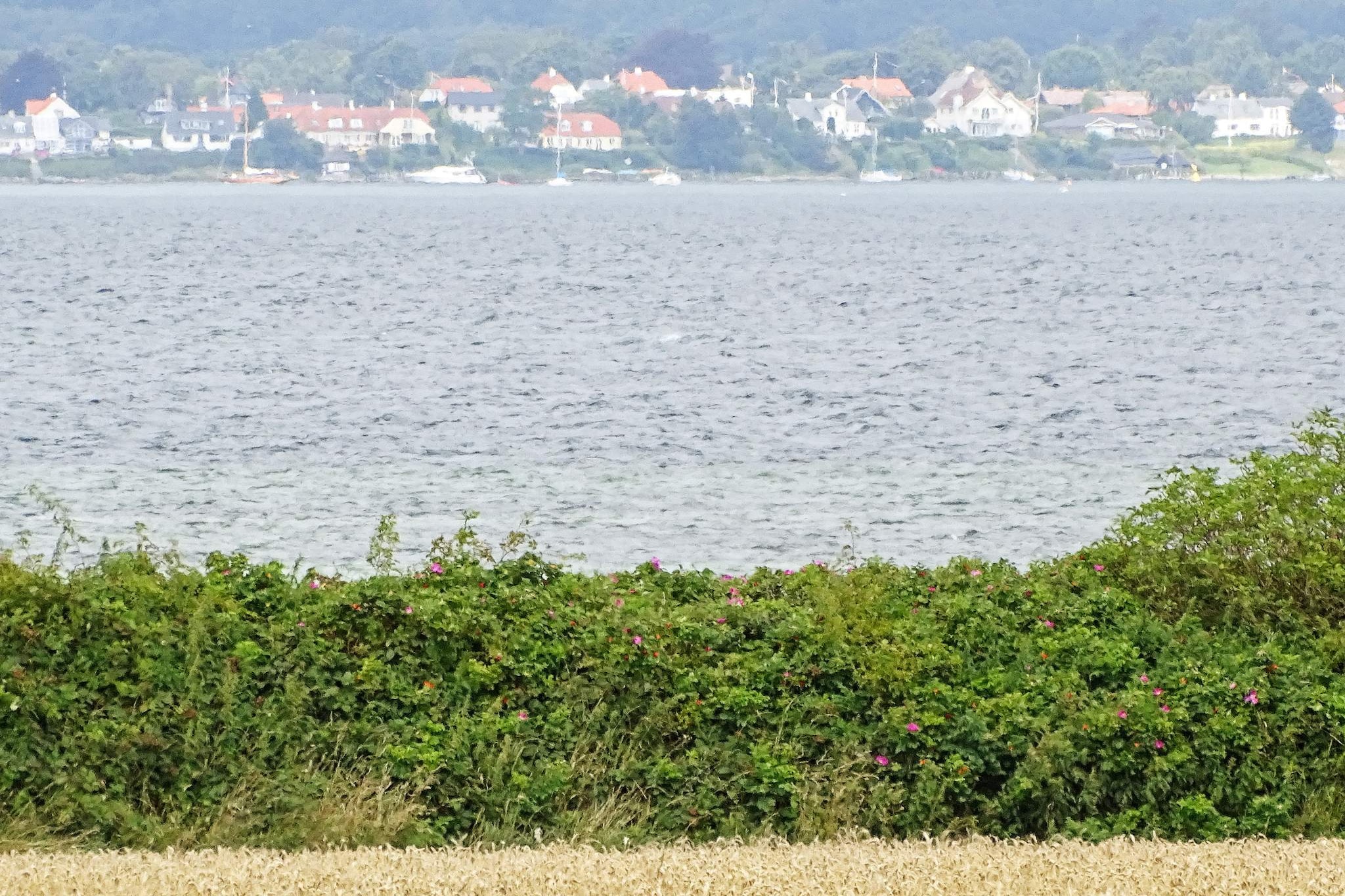 Denmark
