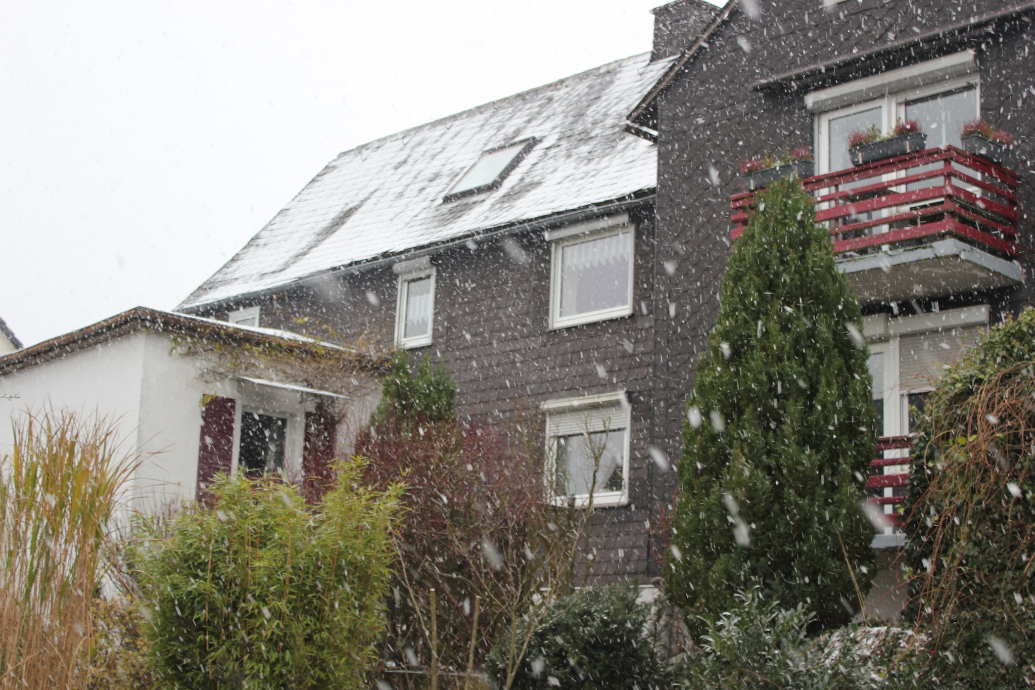 Remise-Exterieur winter