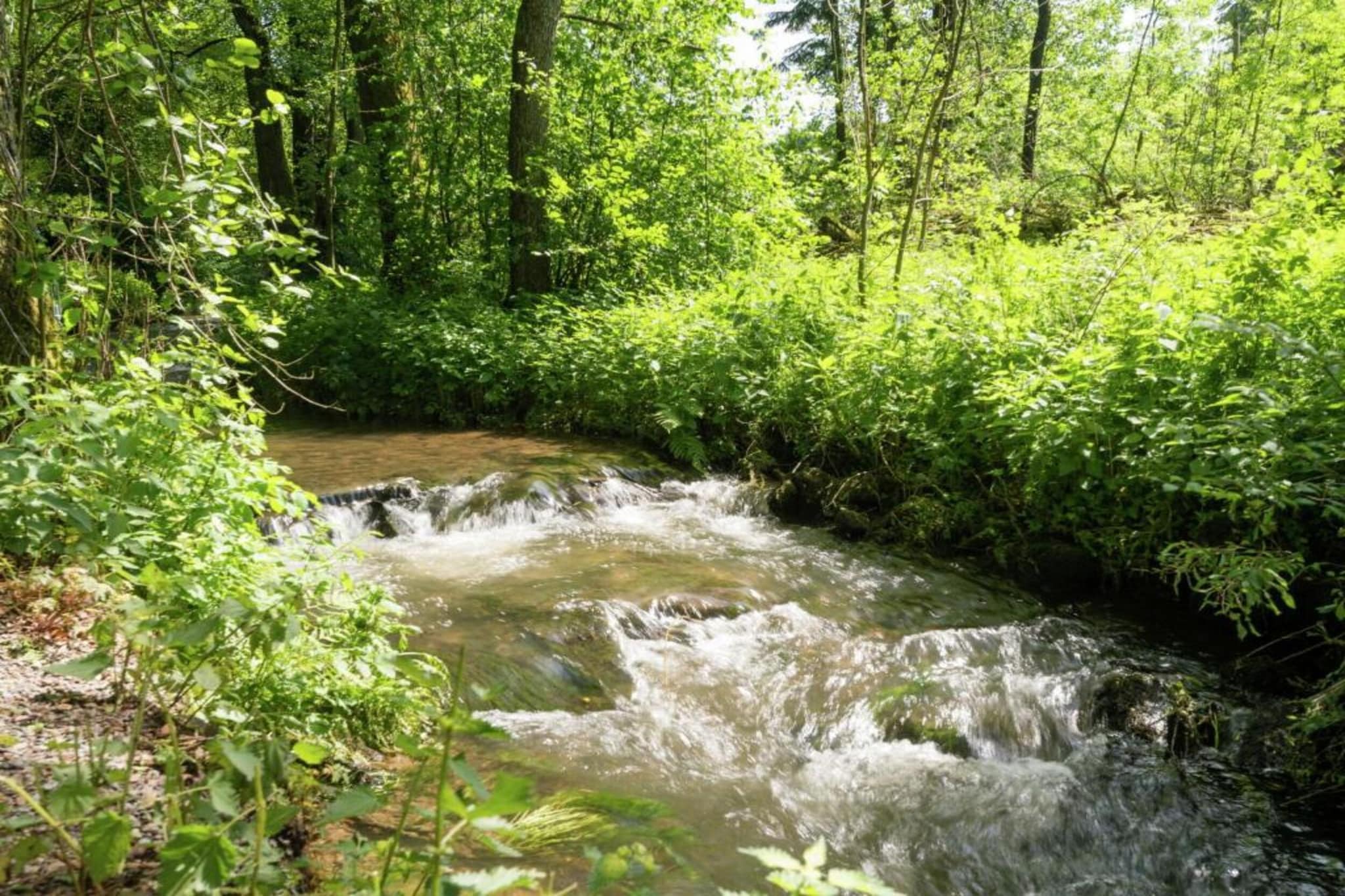 Bellevue-Gebieden zomer 20km