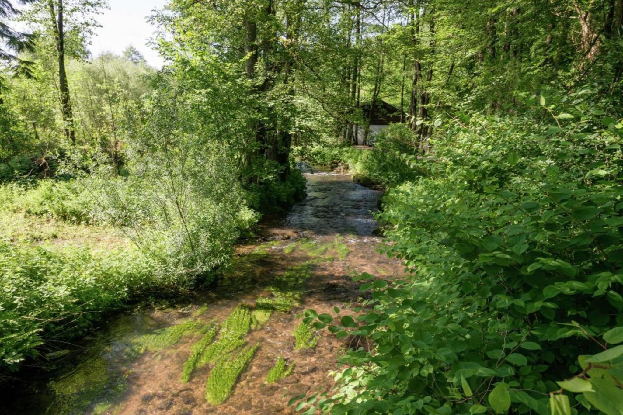 Bellevue-Gebieden zomer 20km
