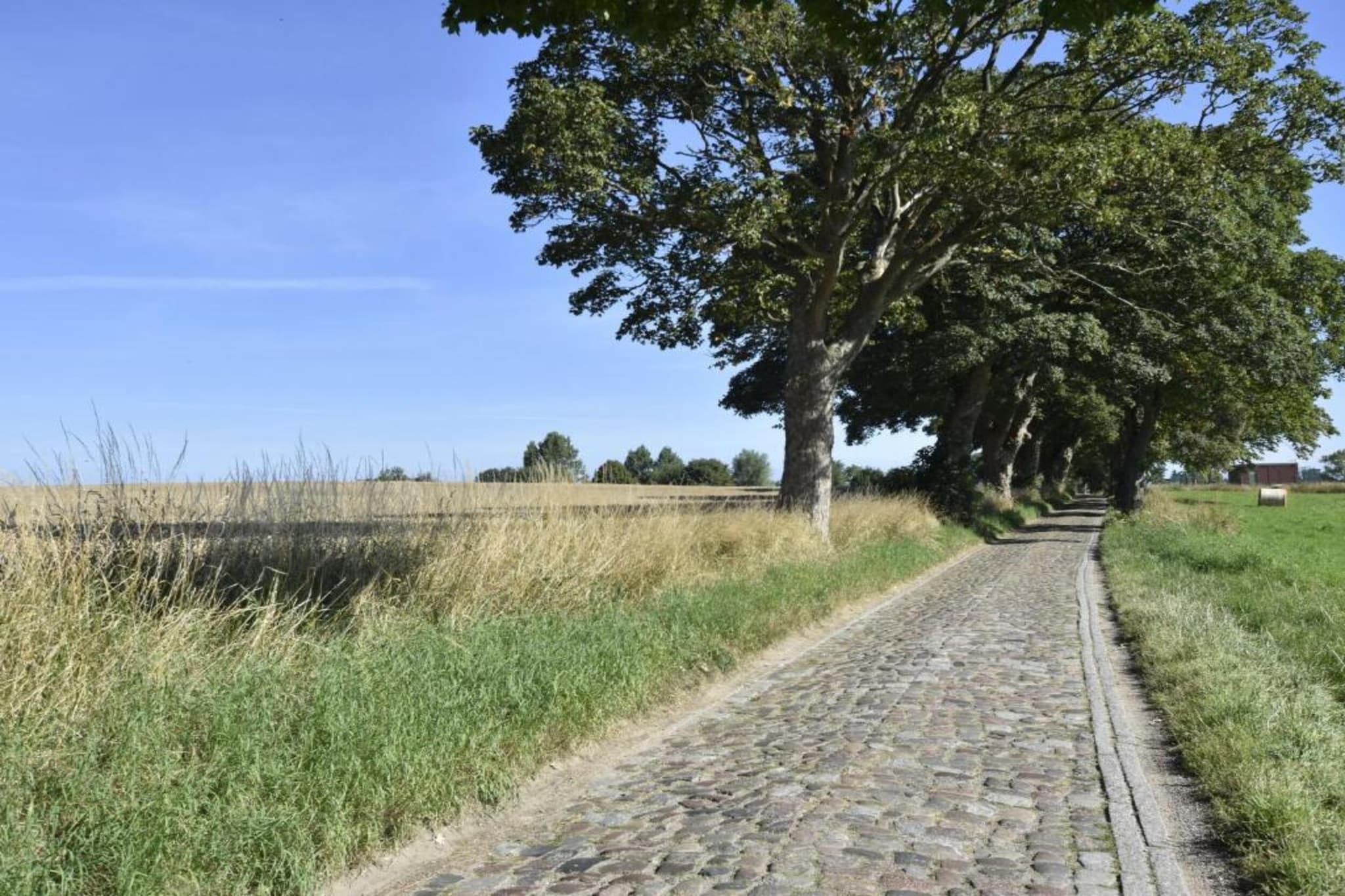 Dat Oole Huus 4-Gebieden zomer 5km