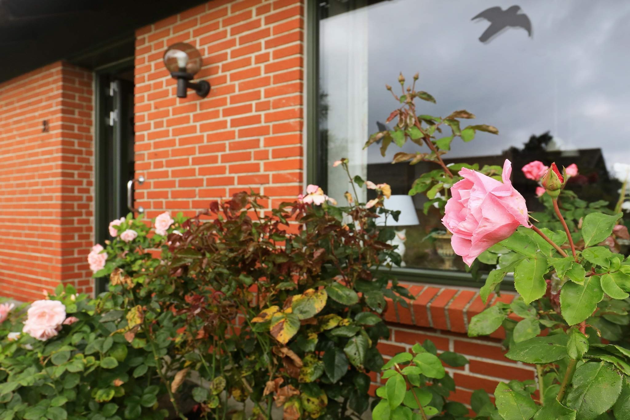 4 persoons vakantie huis in Ærøskøbing-By Traum - Uitzicht