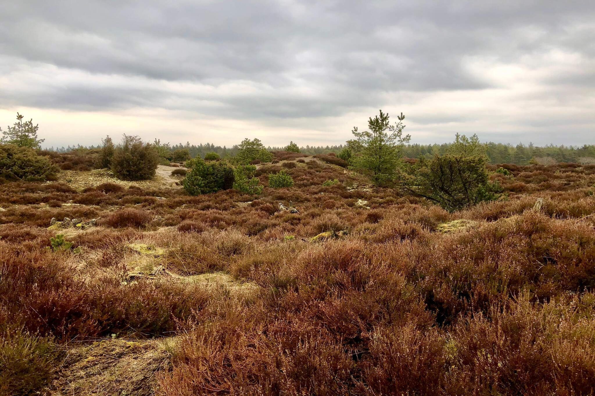 5 persoons vakantie huis in Grindsted-Niet-getagd