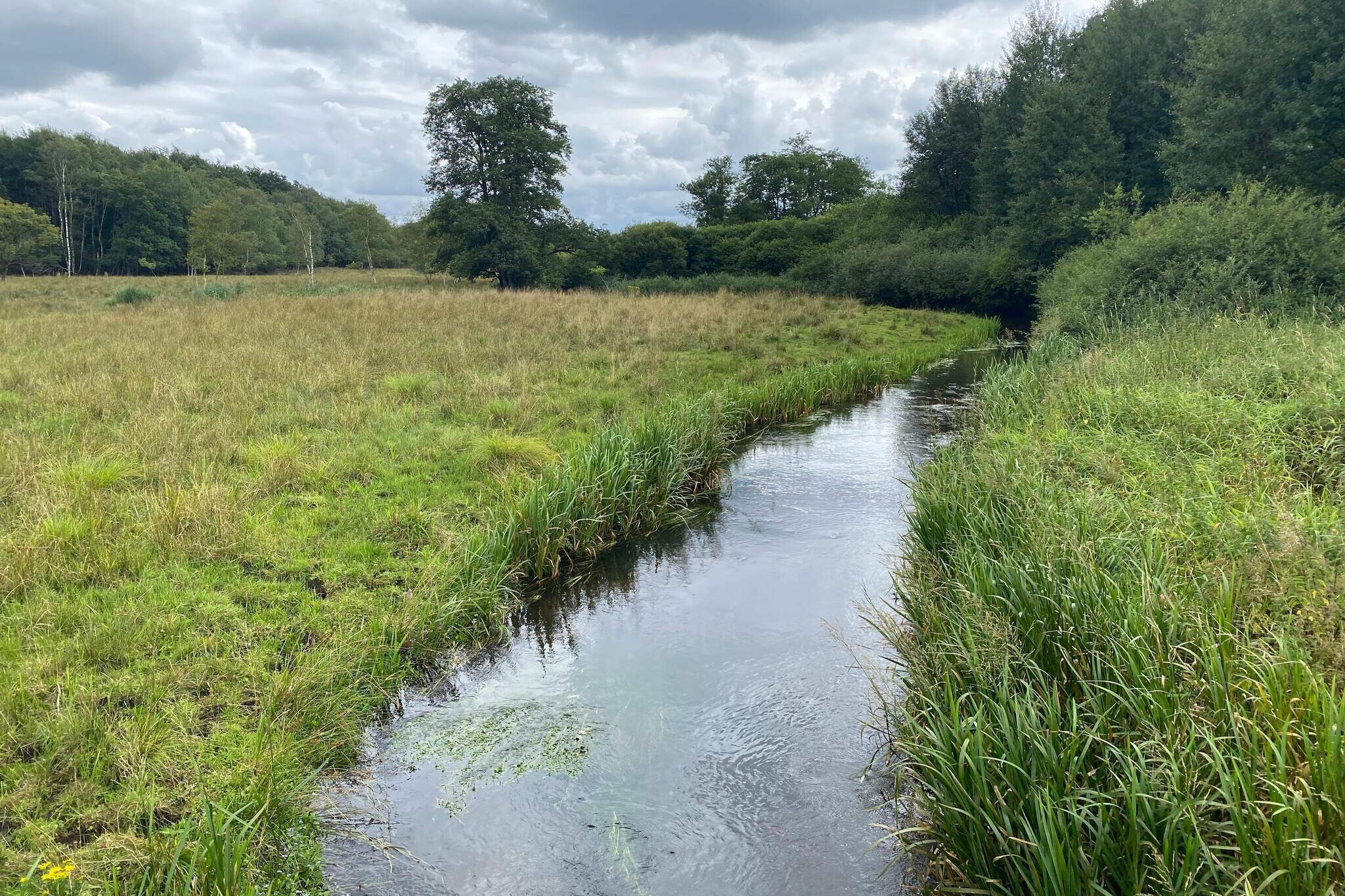 5 persoons vakantie huis in Grindsted-Waterzicht