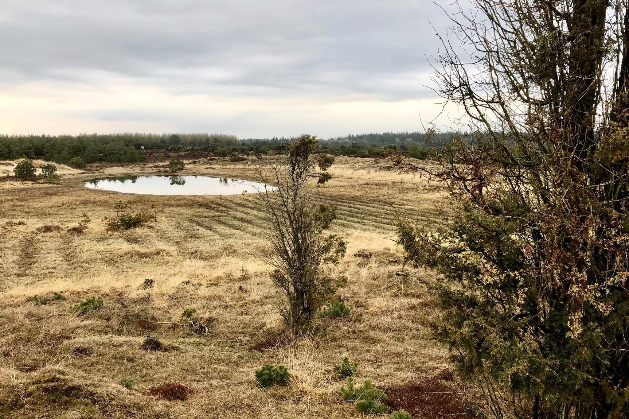 5 person holiday home in Grindsted - Water view