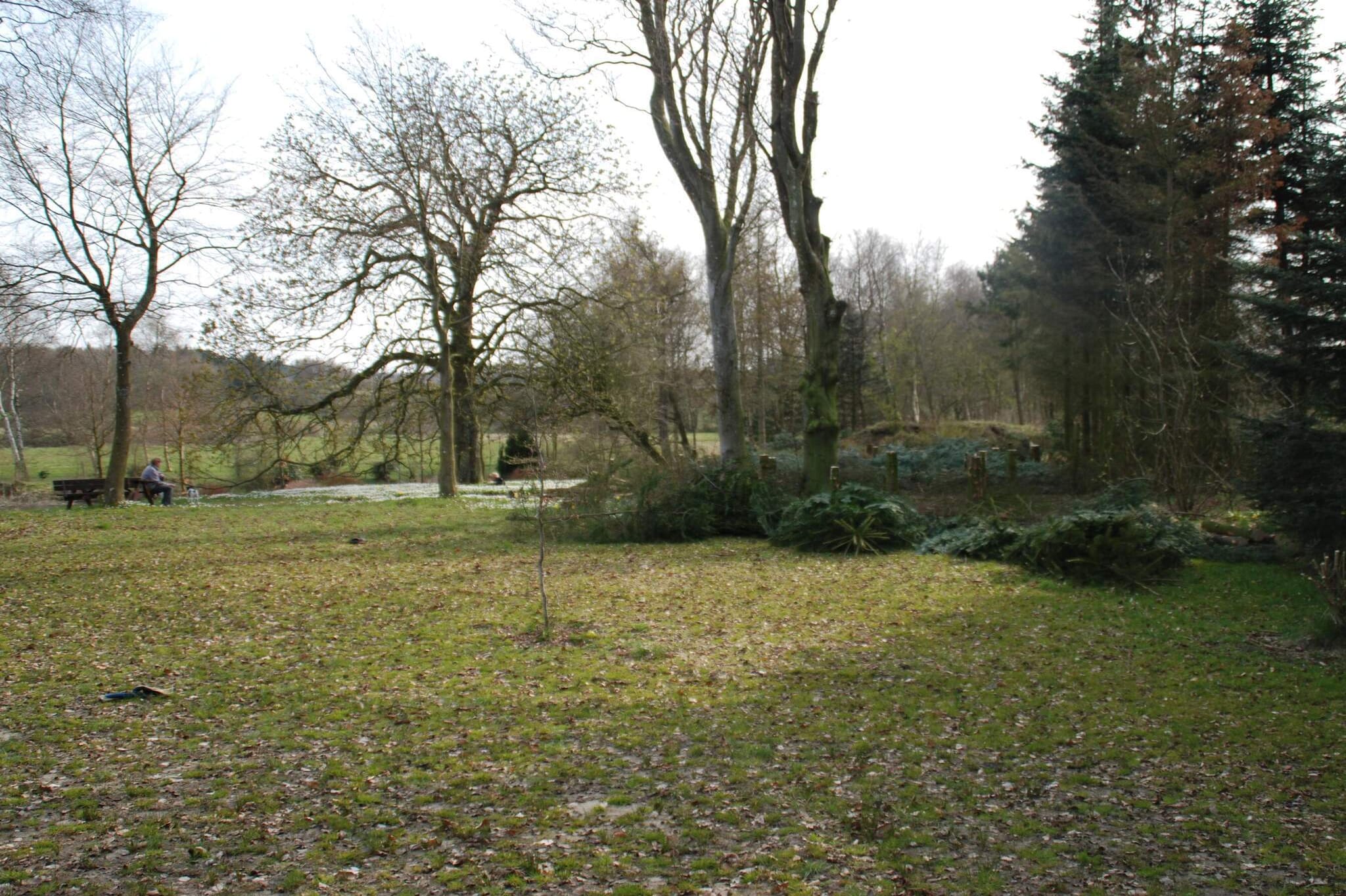 Cozy Log Cabin Retreat-By Traum