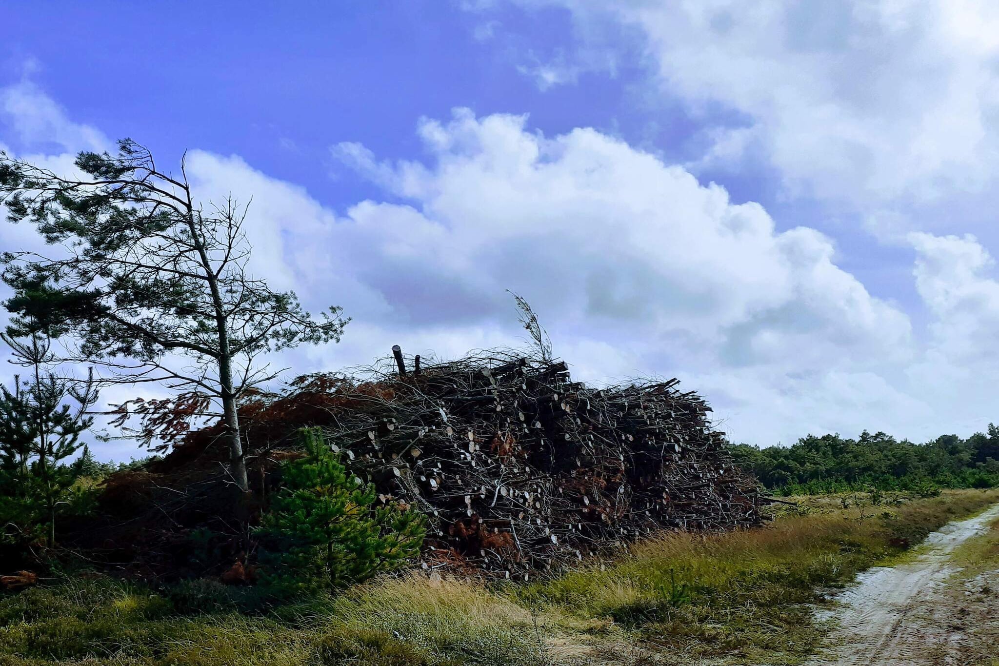 Annex: (double folding bed)\n\nInternet Access DSL, open kitchen(cooker(electric), microwave, fridge(+ freezer), tumble dryer, washing machine), Living/bed room(TV(satellite, german television channels), DVD player, CD player, stereo unit), bedroom(double bed), bedroom(4x bunk bed), bathroom(washbasin, toilet), bathroom(bathtub or shower), heating(electric), terrace, BBQ