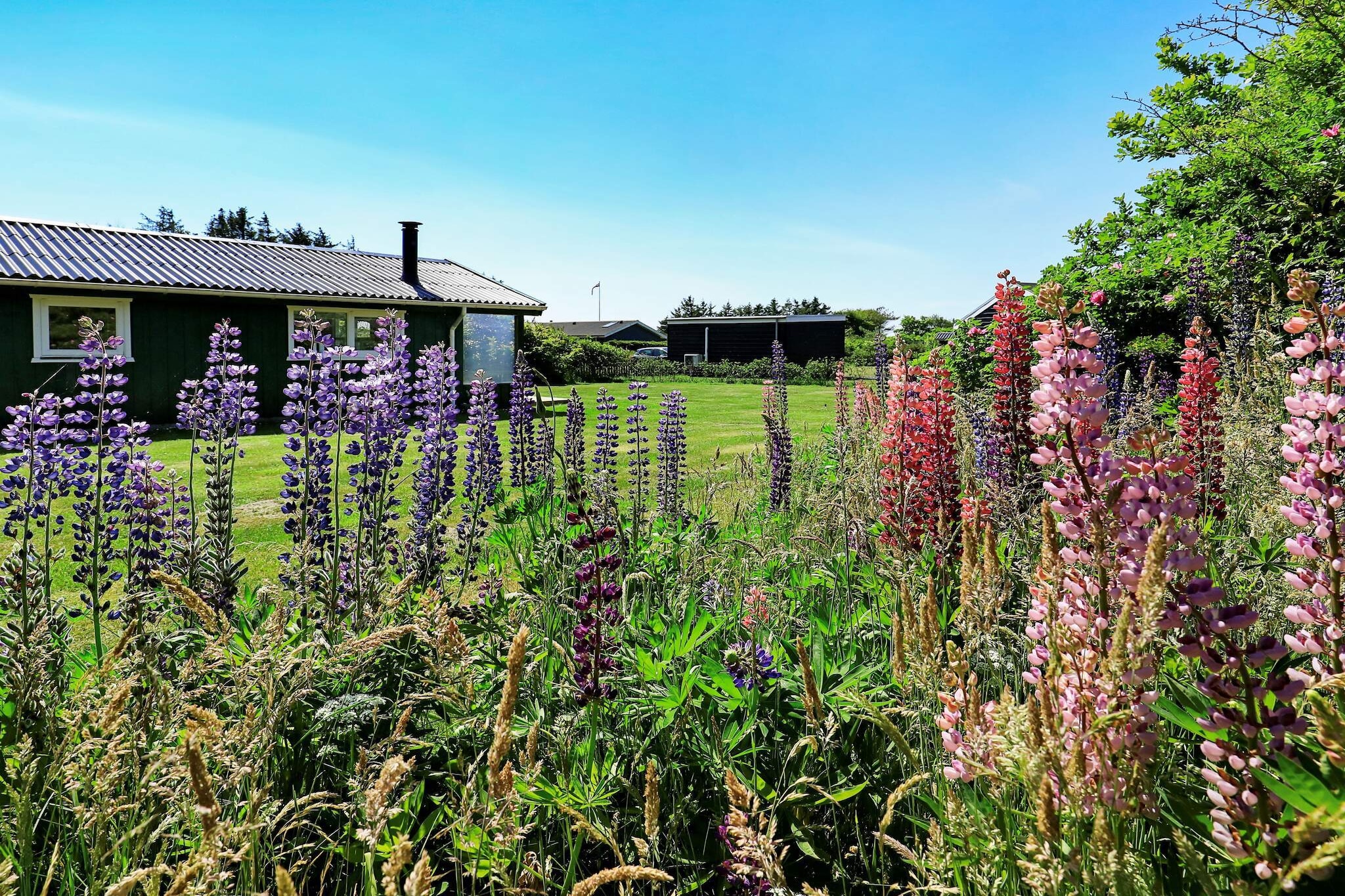 5 persoons vakantie huis in Hjørring - Uitzicht