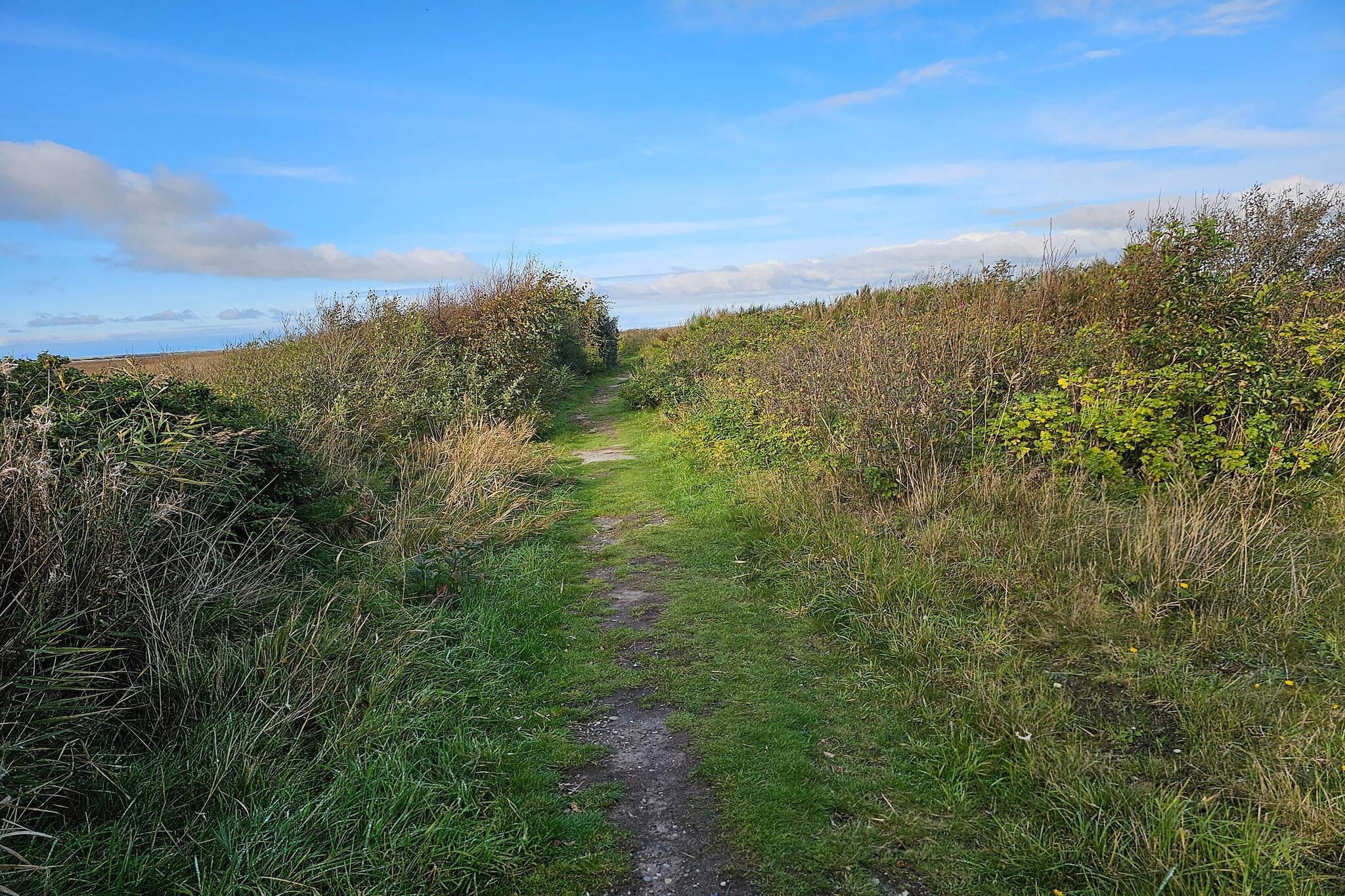 6 persoons vakantie huis in Ulfborg-Niet-getagd