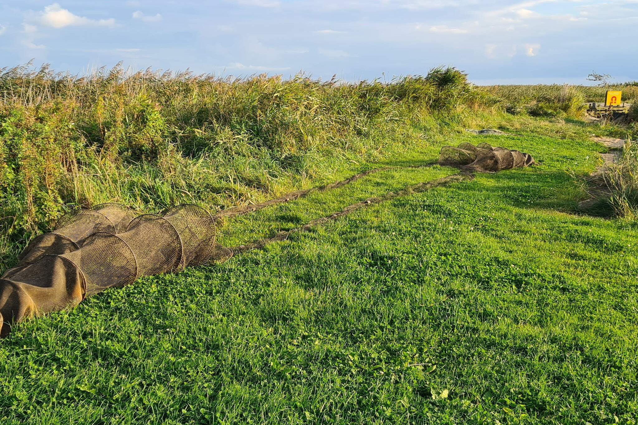 6 persoons vakantie huis in Ulfborg-Waterzicht